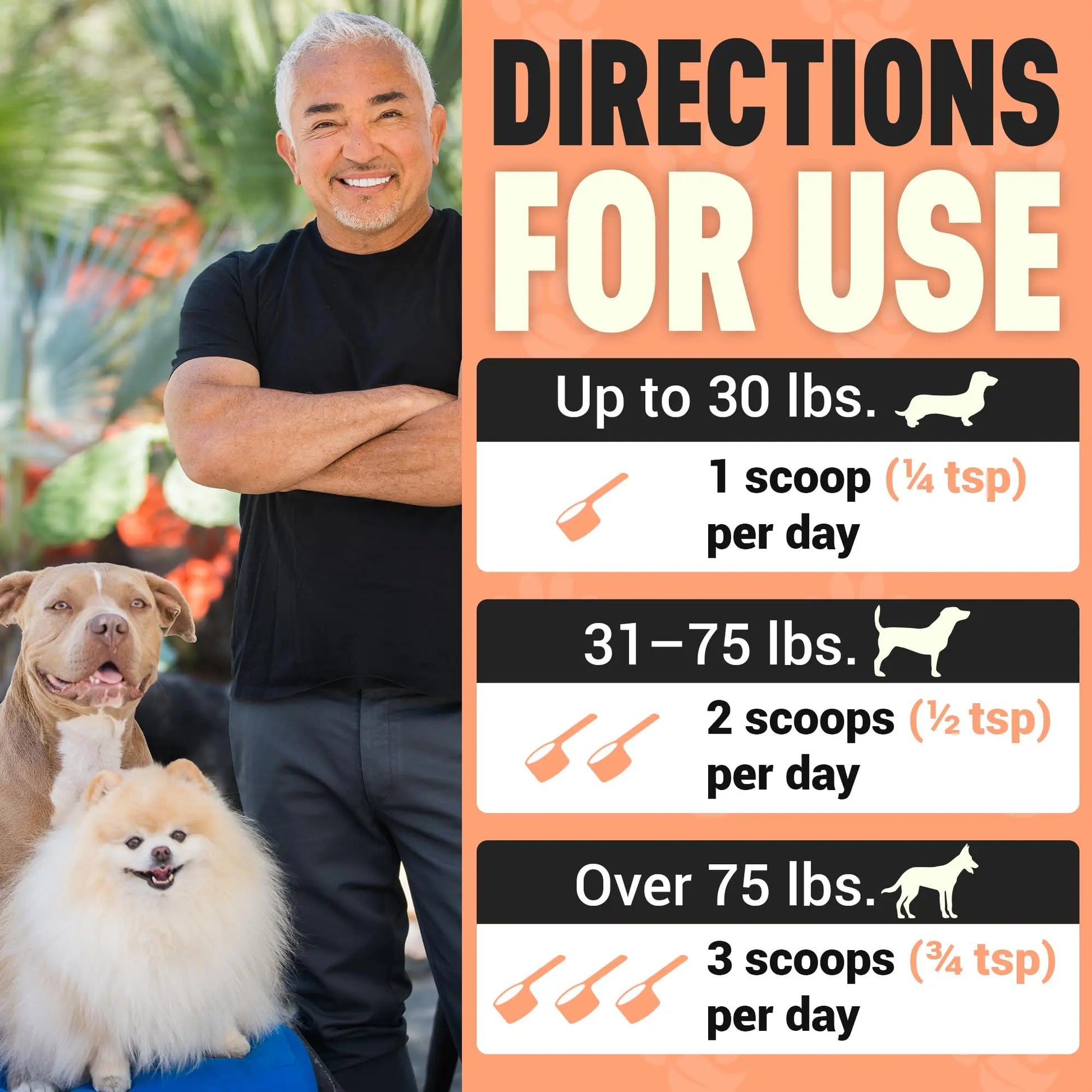 Better Dog Supplements Happy-Go-Lucky Belly by Cesar Millan - Natural Dog Digestive Support Powder – Dog Constipation Relief, Gut Balance & Regularity with Herbal Fiber for Dogs – 4oz (60-Day Supply) Better Dog Supplements By Cesar Millannz supplements