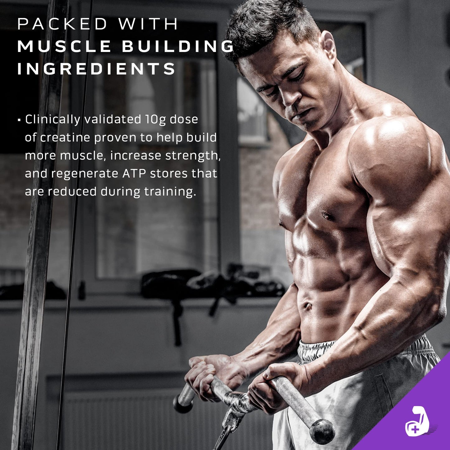 Muscletech Mass Gainer Mass-Tech Extreme 2000, Muscle Builder Whey Protein Powder MuscleTechUS supplements