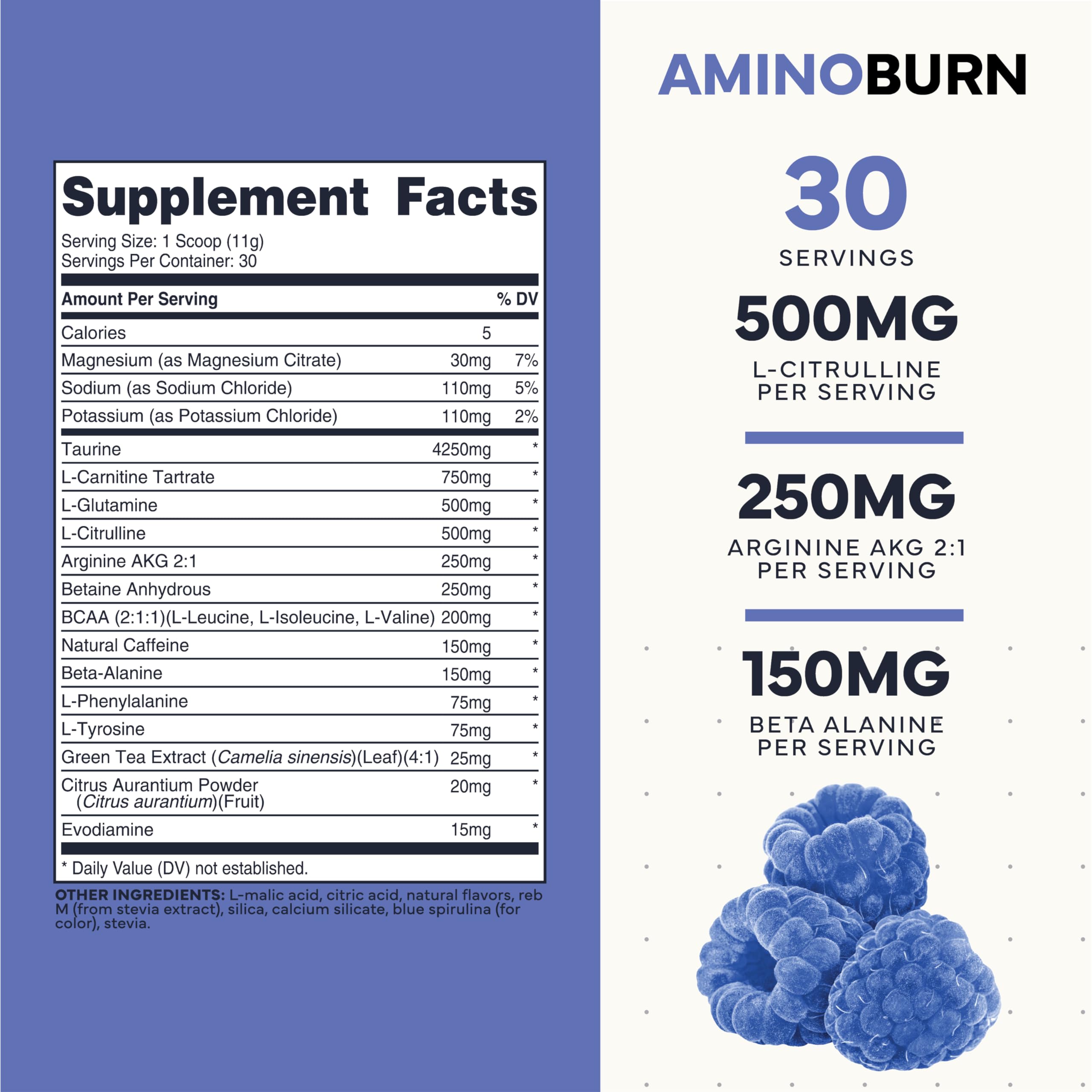 Type Zero Amino Burn - Vegan BCAA + Clean Pre Workout Powder with Arginine AKG, L-Citrulline & Beta Alanine - Amino Acid Clean Energy, Endurance & Hydration Supplement - Blue Raspberry, 30 Servings Type ZeroUS supplements