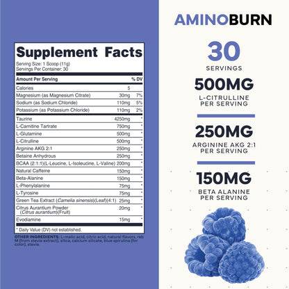 Type Zero Amino Burn - Vegan BCAA + Clean Pre Workout Powder with Arginine AKG, L-Citrulline & Beta Alanine - Amino Acid Clean Energy, Endurance & Hydration Supplement - Blue Raspberry, 30 Servings Type ZeroUS supplements