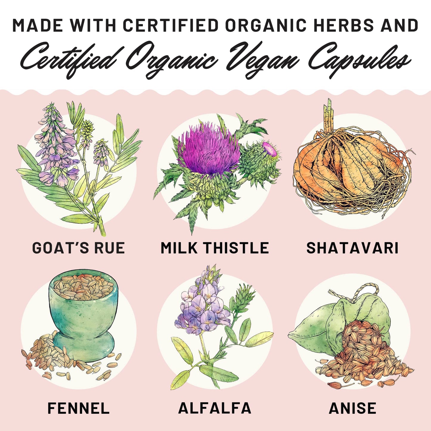 Legendairy Milk Liquid Gold Lactation Supplement, Organic Goat's Rue Lactation Legendairy MilkUS supplements