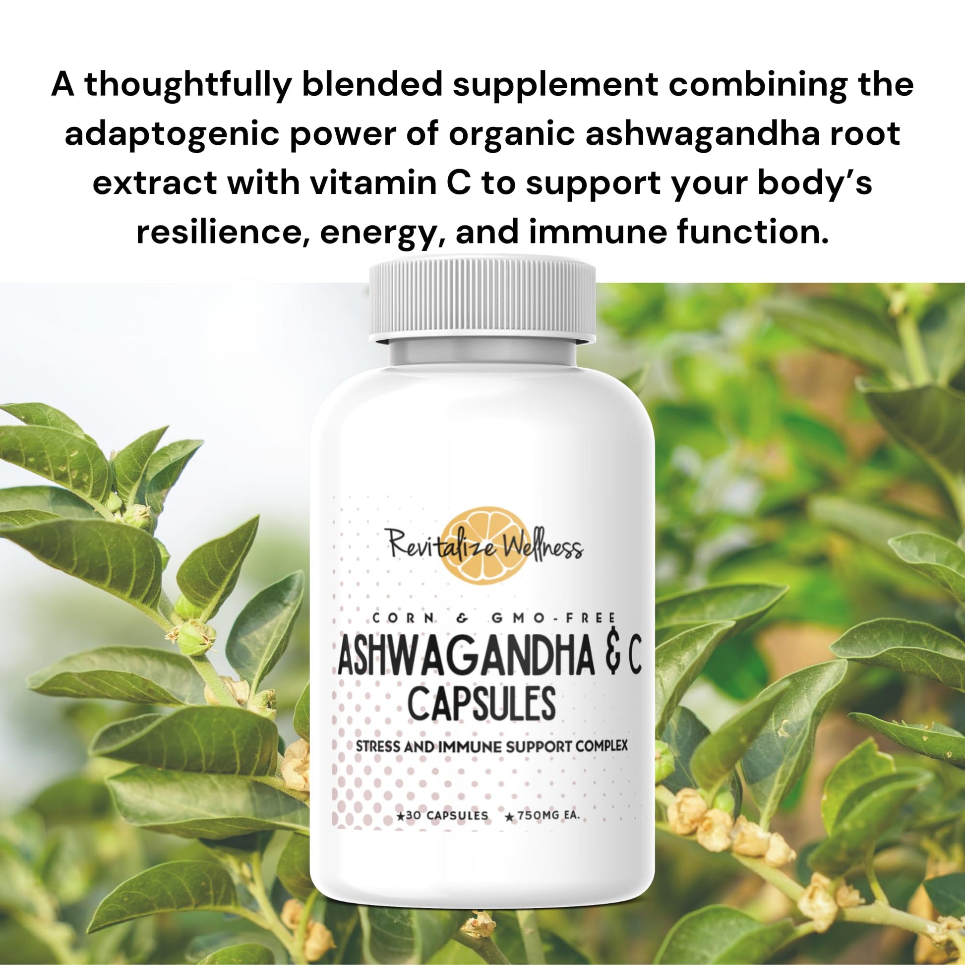Revitalize Wellness Ashwagandha + Vitamin C Capsules | Stress and Immune Support Complex | with 550 mg Ashwagandha and 200 mg Vitamin C per Serving | 30 Servings Revitalize WellnessAu supplements