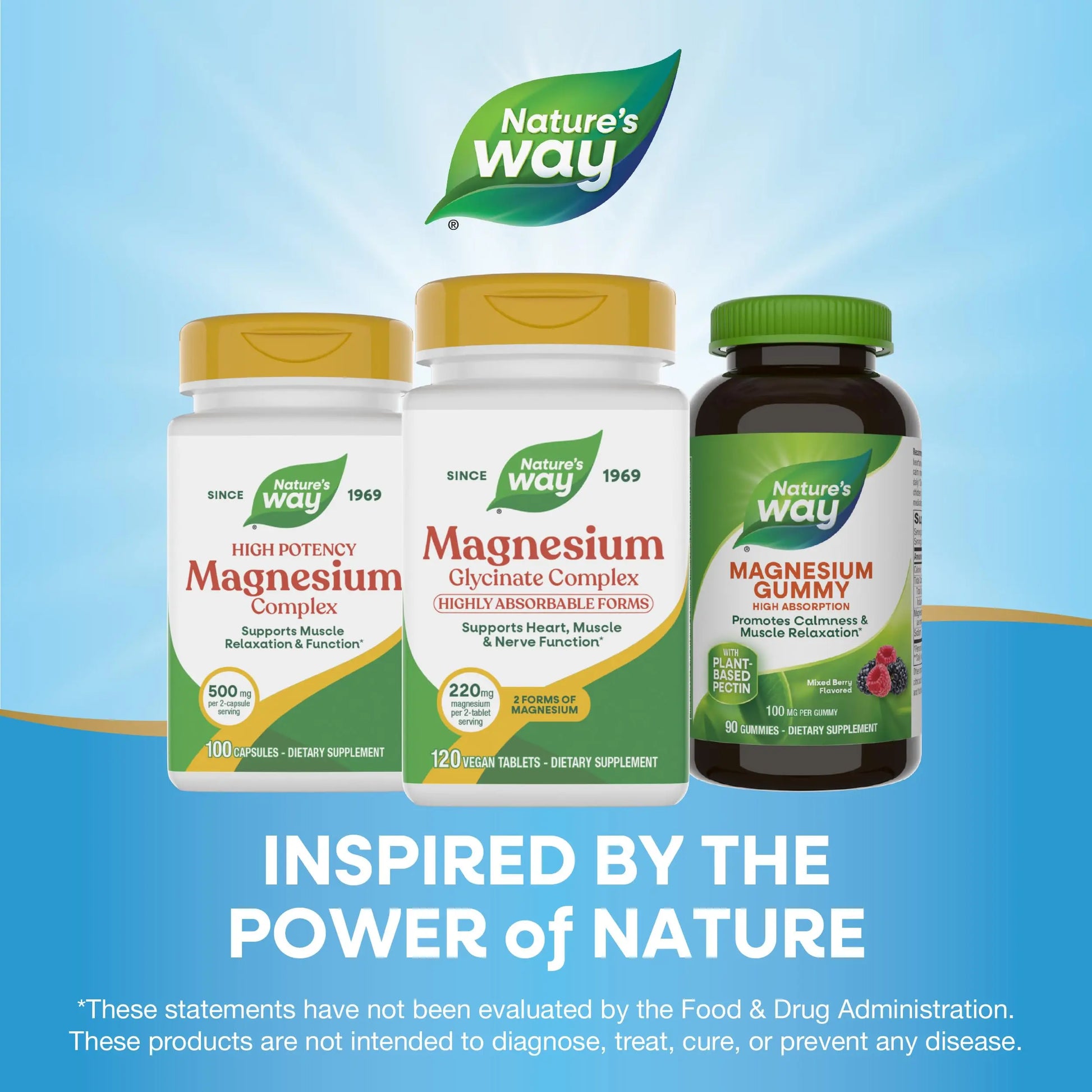 Nature's Way Magnesium Glycinate Complex, Supports Heart, Muscle, Nerve Function*, Highly Absorbable, 220 mg per 2-Tablet Serving, No Gluten, Vegan, 120 Tablets Nature's Waynz supplements