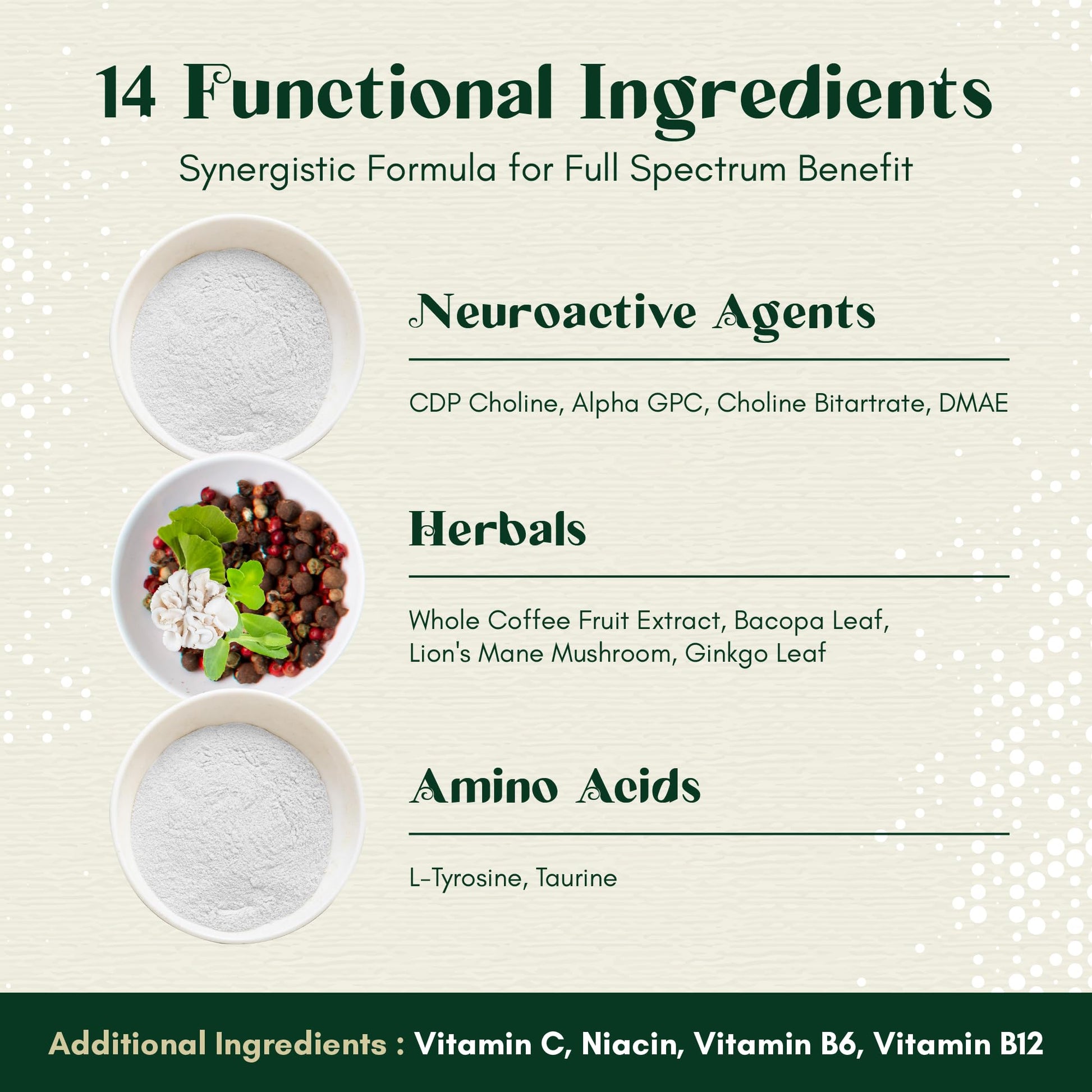 Rootful Mind Alpha Focus Nootropic - Memory and Focus Brain Booster Supplement with Choline, Citicoline, GPC, L-Tyrosine, Bacopa Monnieri, DMAE, Gingko Biloba, Lion's Mane, Niacinamide - 60 Capsules Rootful MindAu supplements