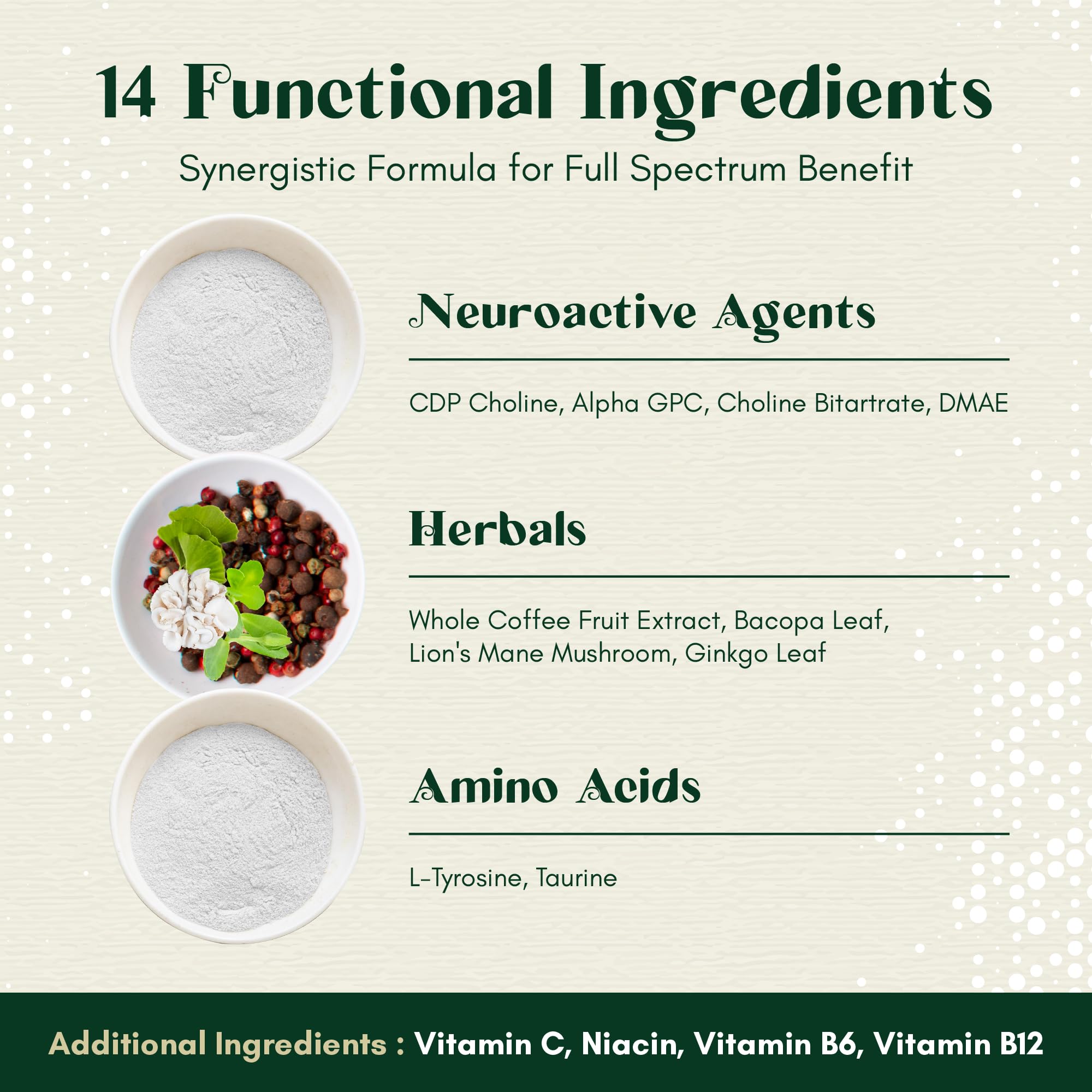 Rootful Mind Alpha Focus Nootropic - Memory and Focus Brain Booster Supplement with Choline, Citicoline, GPC, L-Tyrosine, Bacopa Monnieri, DMAE, Gingko Biloba, Lion's Mane, Niacinamide - 60 Capsules Rootful MindAu supplements