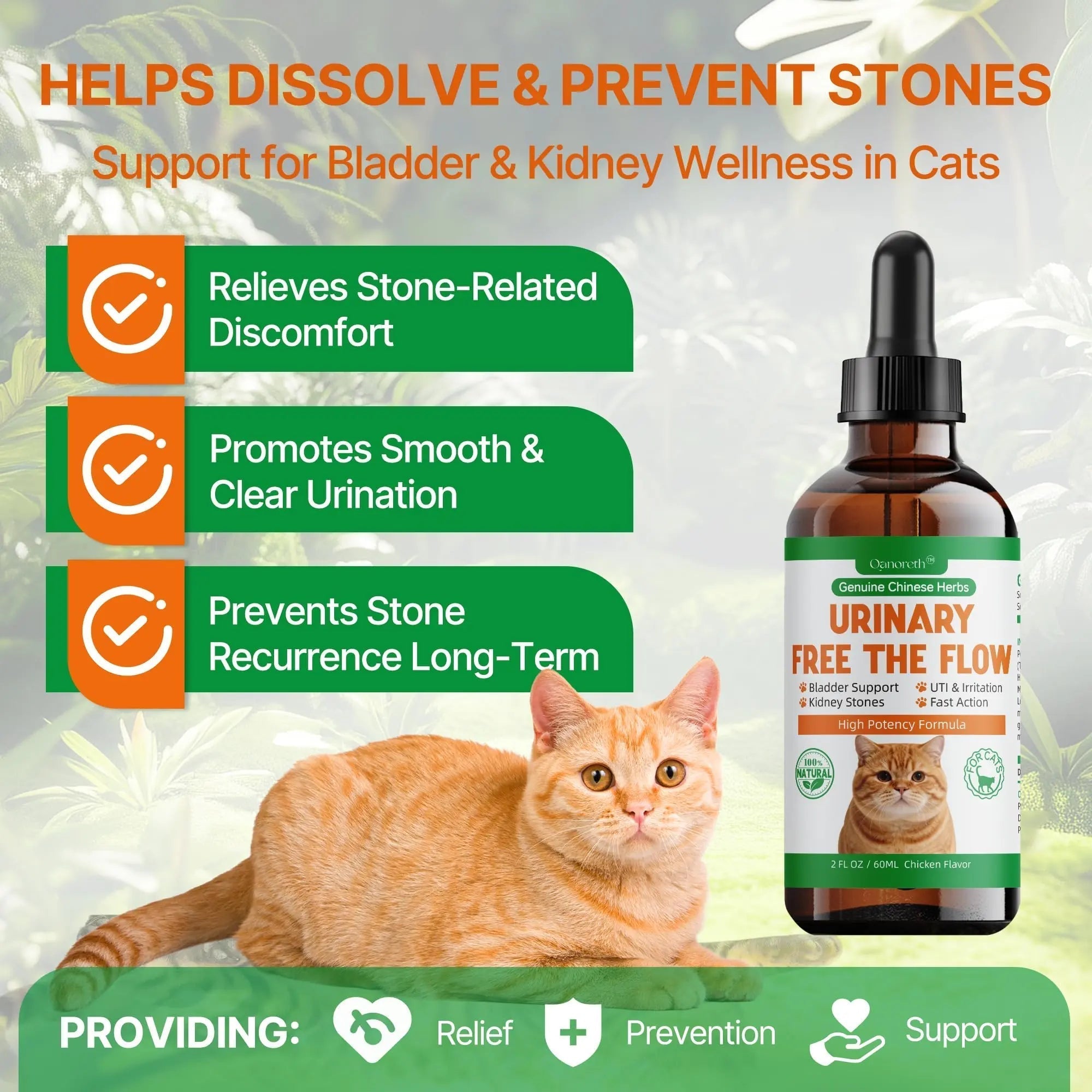 Cat Bladder Remedy for Stones & Crystals, Kidney StonesDissolver forCat- Urinary Free The Flow - Cat Urinary Tract Infection Treatment for Stones, Herbal CatUTI Remedy for Stone Relief & Prevention QanorethAu supplements