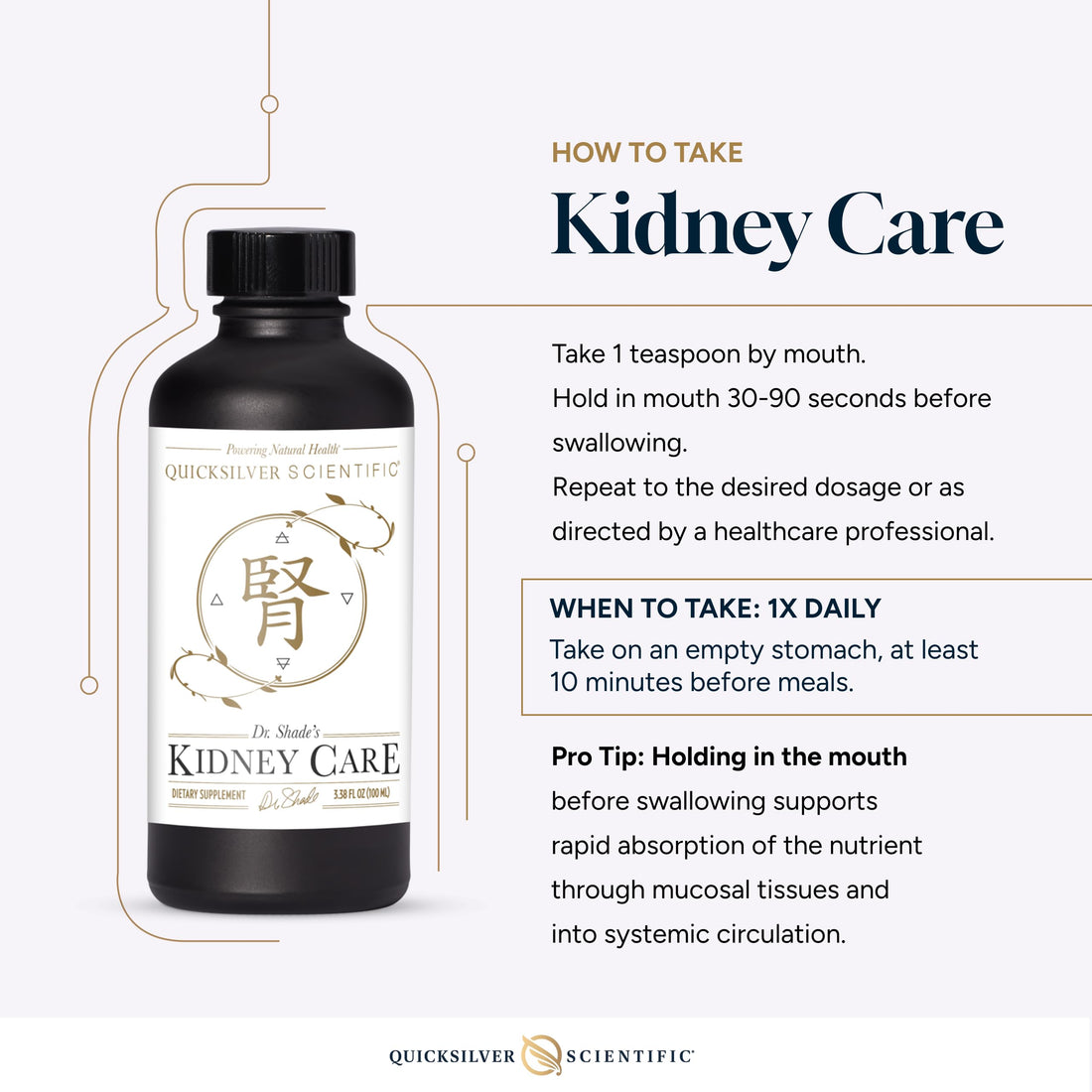 Quicksilver Scientific Kidney Care - Kidney Cleanse & Lymphatic Drainage Supplements - Astragaloside IV Extract, Zhu Ling, Goldenrod, Ferulic Acid, He Shou Wu & Dandelion Leaf (3.38oz / 100ml) Quicksilver ScientificUS supplements