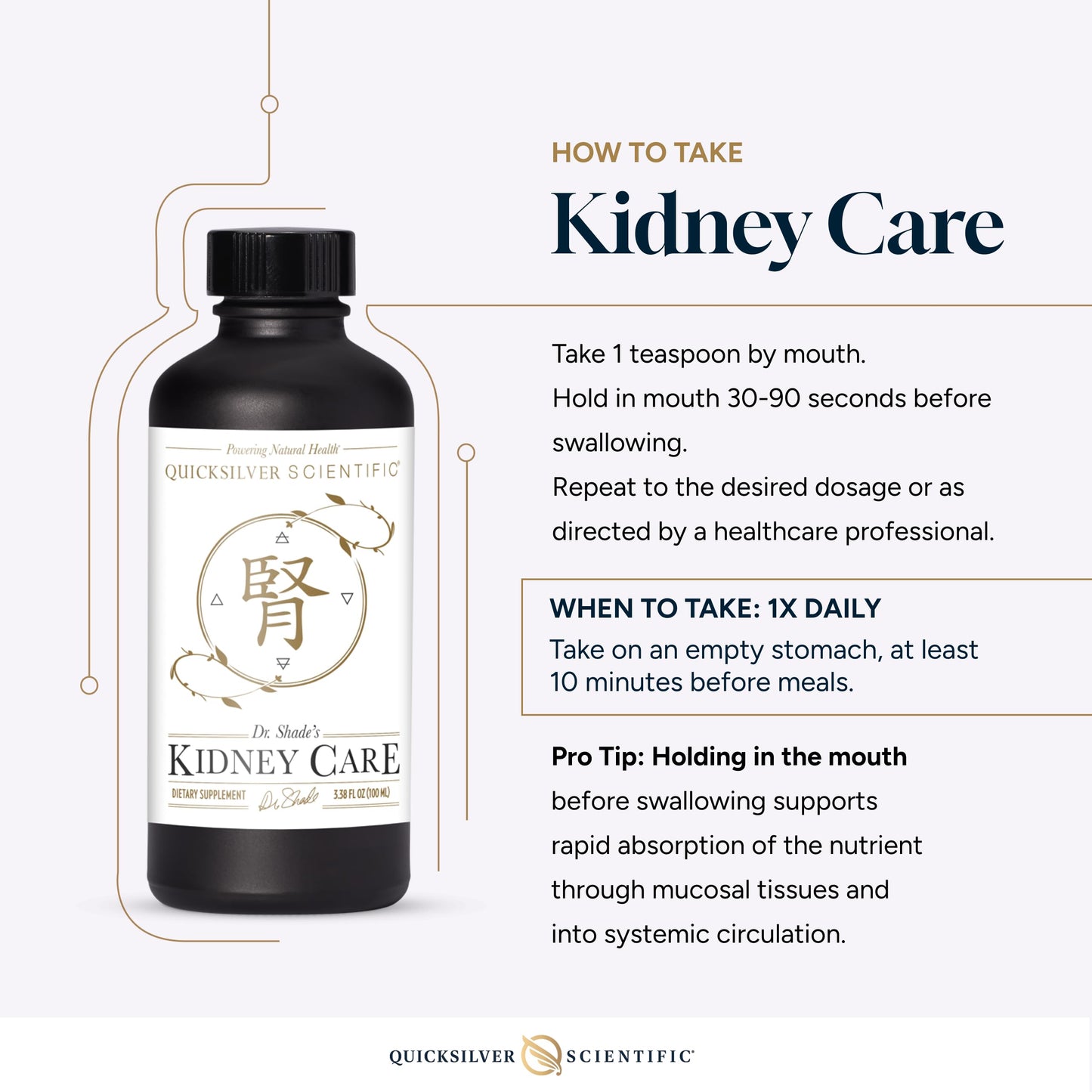 Quicksilver Scientific Kidney Care - Kidney Cleanse & Lymphatic Drainage Supplements - Astragaloside IV Extract, Zhu Ling, Goldenrod, Ferulic Acid, He Shou Wu & Dandelion Leaf (3.38oz / 100ml) Quicksilver ScientificUS supplements