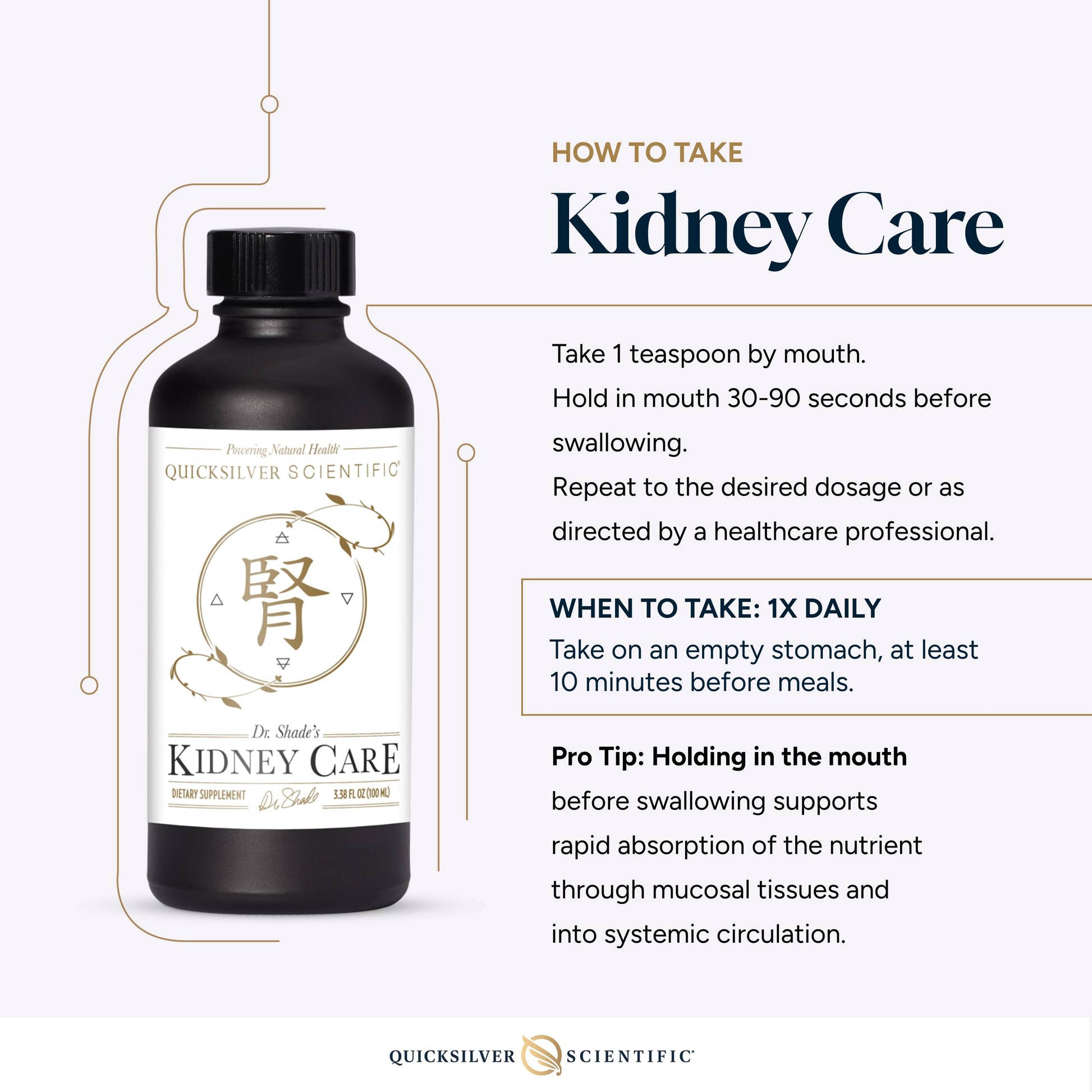 Quicksilver Scientific Kidney Care - Kidney Cleanse & Lymphatic Drainage Supplements - Astragaloside IV Extract, Zhu Ling, Goldenrod, Ferulic Acid, He Shou Wu & Dandelion Leaf (3.38oz / 100ml) Quicksilver ScientificUS supplements