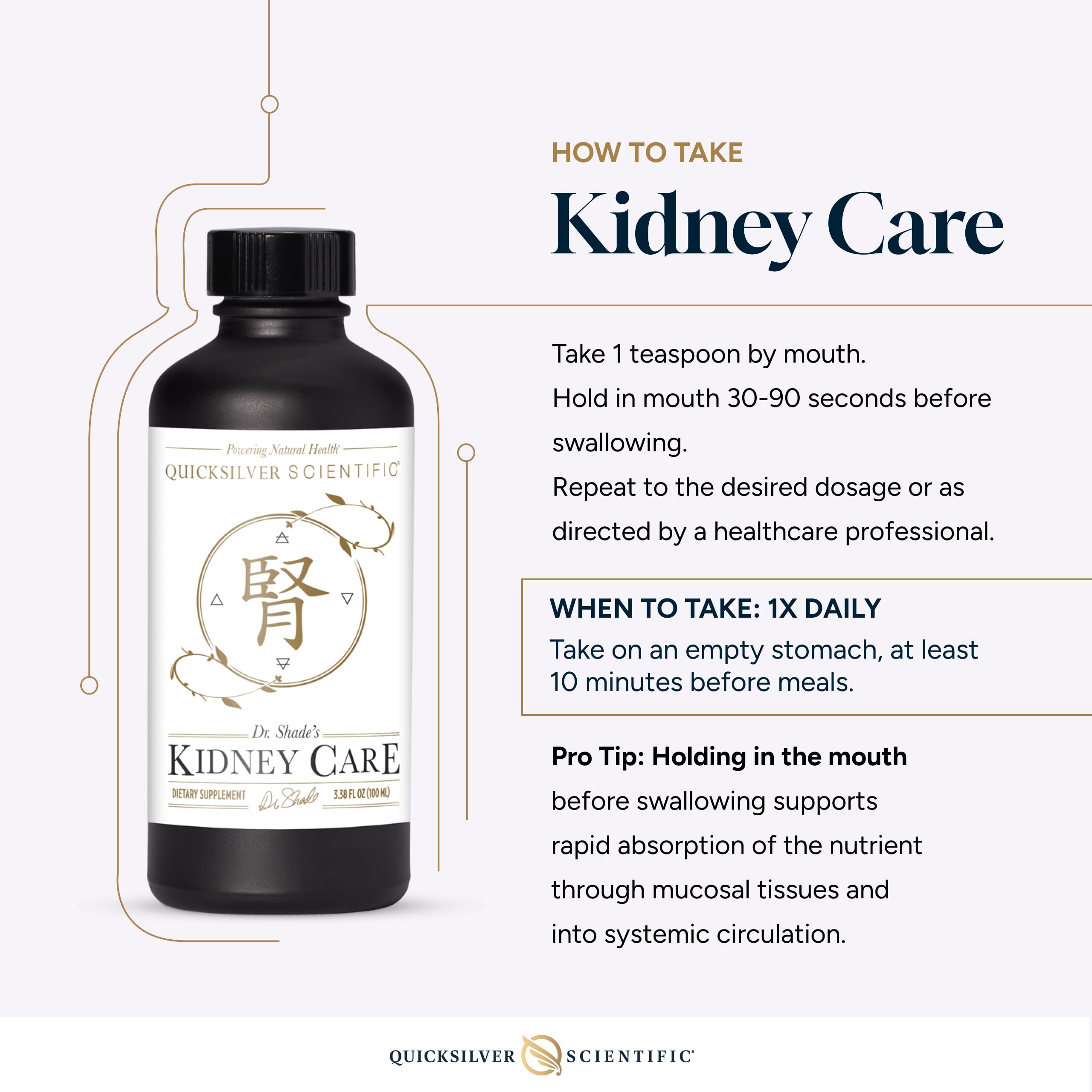 Quicksilver Scientific Kidney Care - Kidney Cleanse & Lymphatic Drainage Supplements - Astragaloside IV Extract, Zhu Ling, Goldenrod, Ferulic Acid, He Shou Wu & Dandelion Leaf (3.38oz / 100ml) Quicksilver ScientificUS supplements
