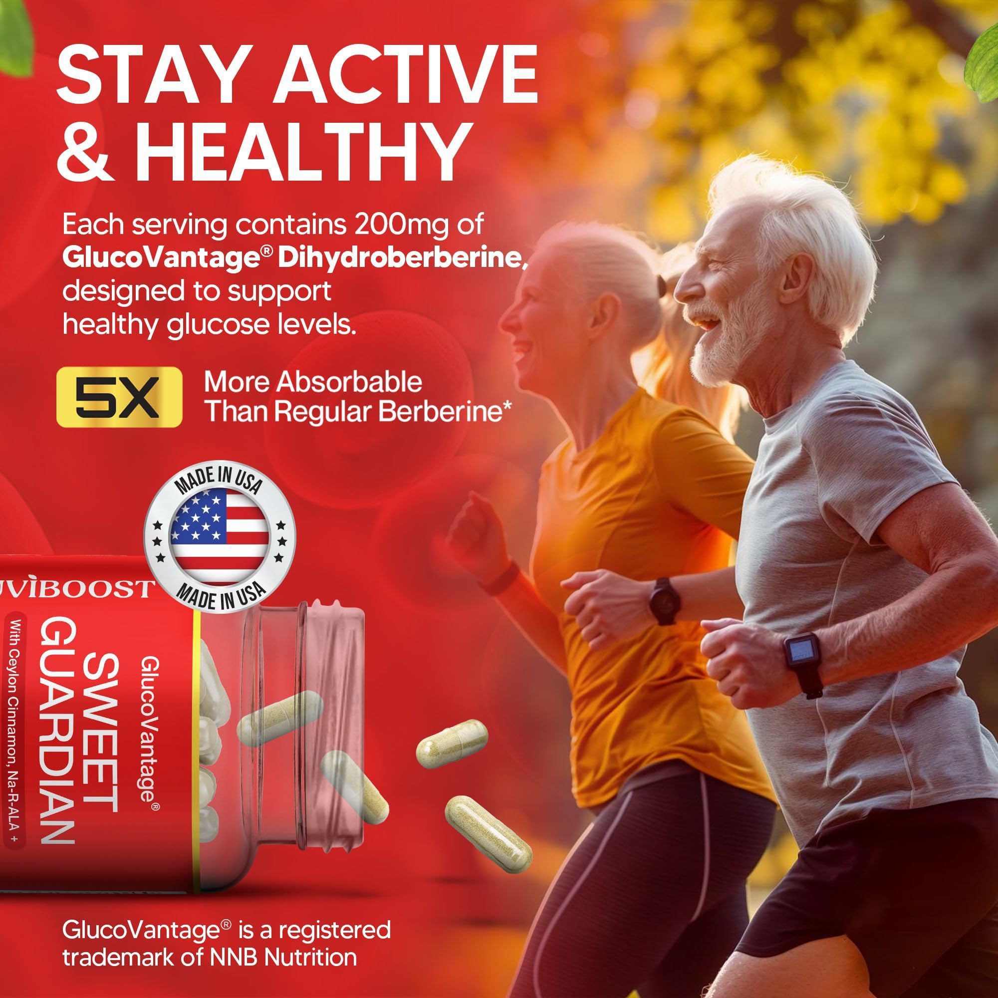 NUVIBOOST Super Dihydroberberine (GlucoVantage®) 200mg with Ceylon Cinnamon, Alpha Lipoic Acid, Selenium, Gymnema Sylvestre, Benfotiamine and Others for Overall Immunity. NUVIBOOSTAu supplements