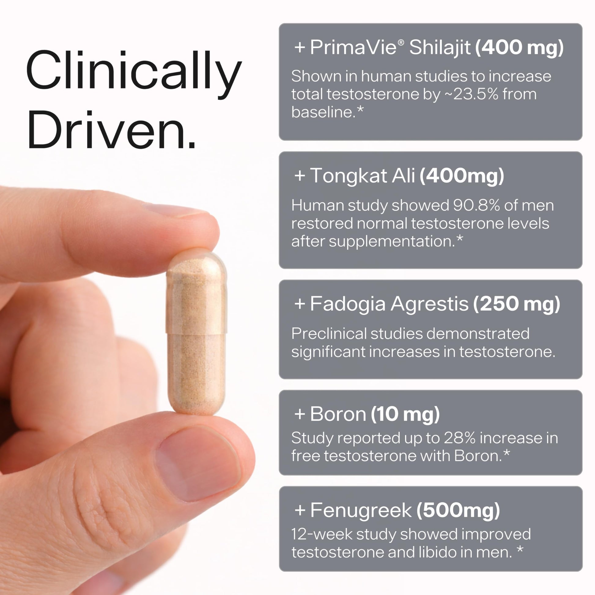 Testosterone Booster for Men - Sheer Alpha T-Booster - Clinically Backed Dose, Strongest Formula - Made in USA - Premium Blend of Fadogia Agrestis Tongkat Ali and Shilajit. 30 Servings Sheer Strength LabsAu supplements