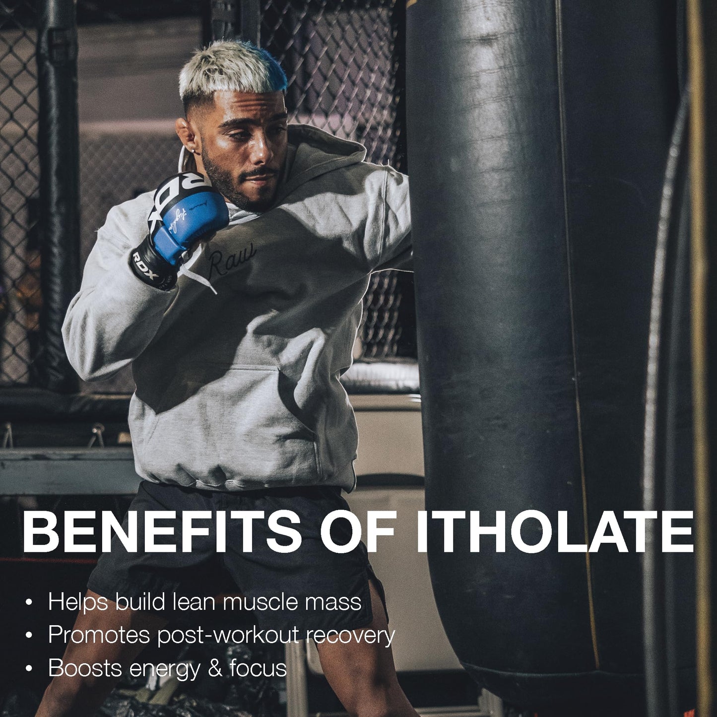 RAW Whey Isolate Protein Powder, Gingerbread (CBUM Itholate Protein) - 100% Grass RAWUS supplements