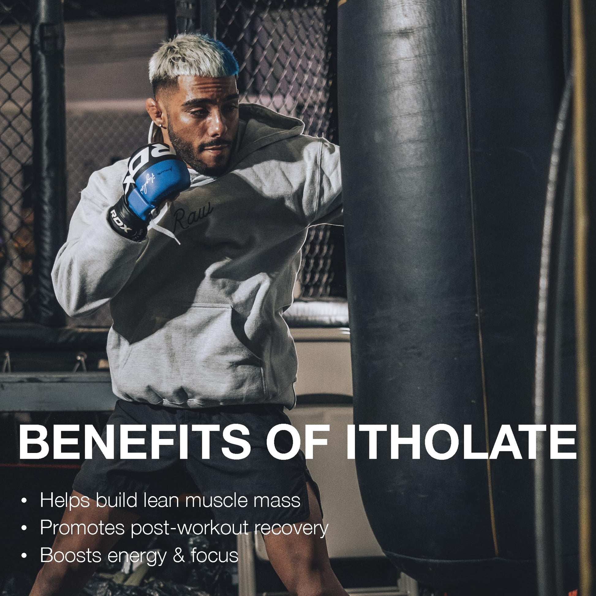 RAW Whey Isolate Protein Powder, Gingerbread (CBUM Itholate Protein) - 100% Grass RAWUS supplements