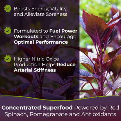 Nutrigardens Spin Boost Nitric Oxide Red Spinach Nitrate Pre-Workout Powder Concentrated NutrigardensUS supplements
