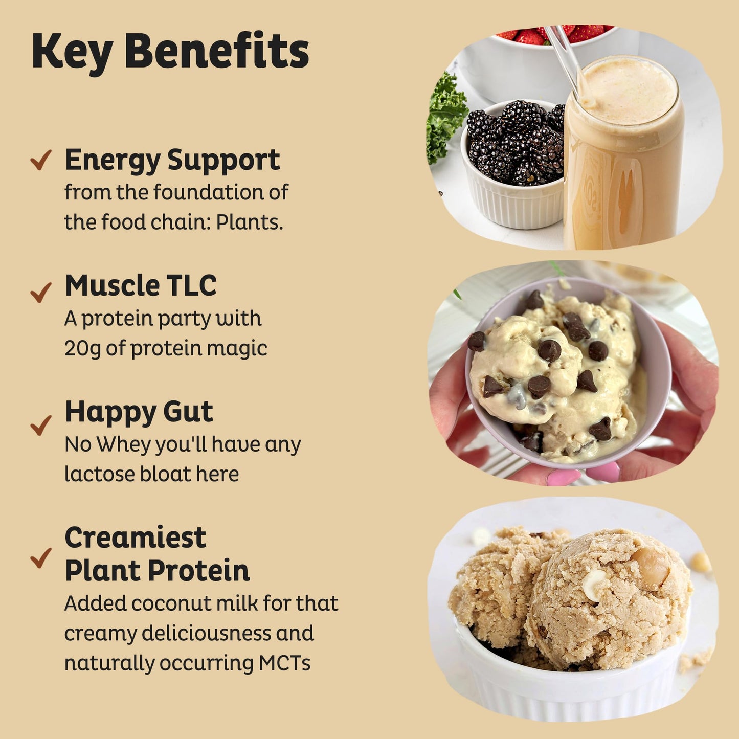 KOS Vegan Protein Powder Erythritol Free, Vanilla USDA Organic - Pea Protein Blend, Plant Based Superfood Rich in Vitamins & Minerals - Keto, Dairy Free - Meal Replacement for Women & Men, 28 Servings KOSUS supplements