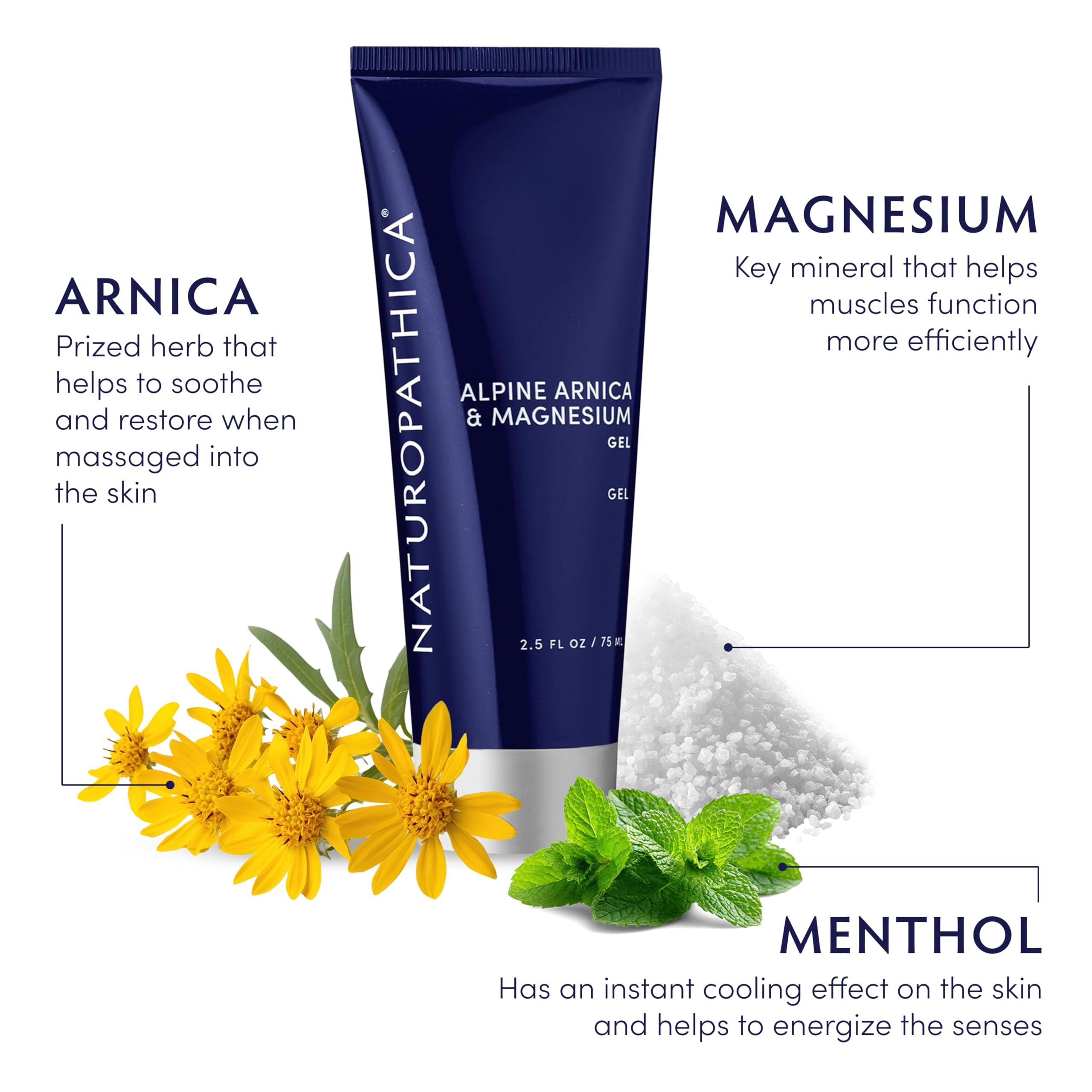 Naturopathica Alpine Arnica & Magnesium Gel, Cooling Massage Gel with Menthol for Muscle Discomfort and Relaxation, 2.5 fl oz NaturopathicaAu supplements
