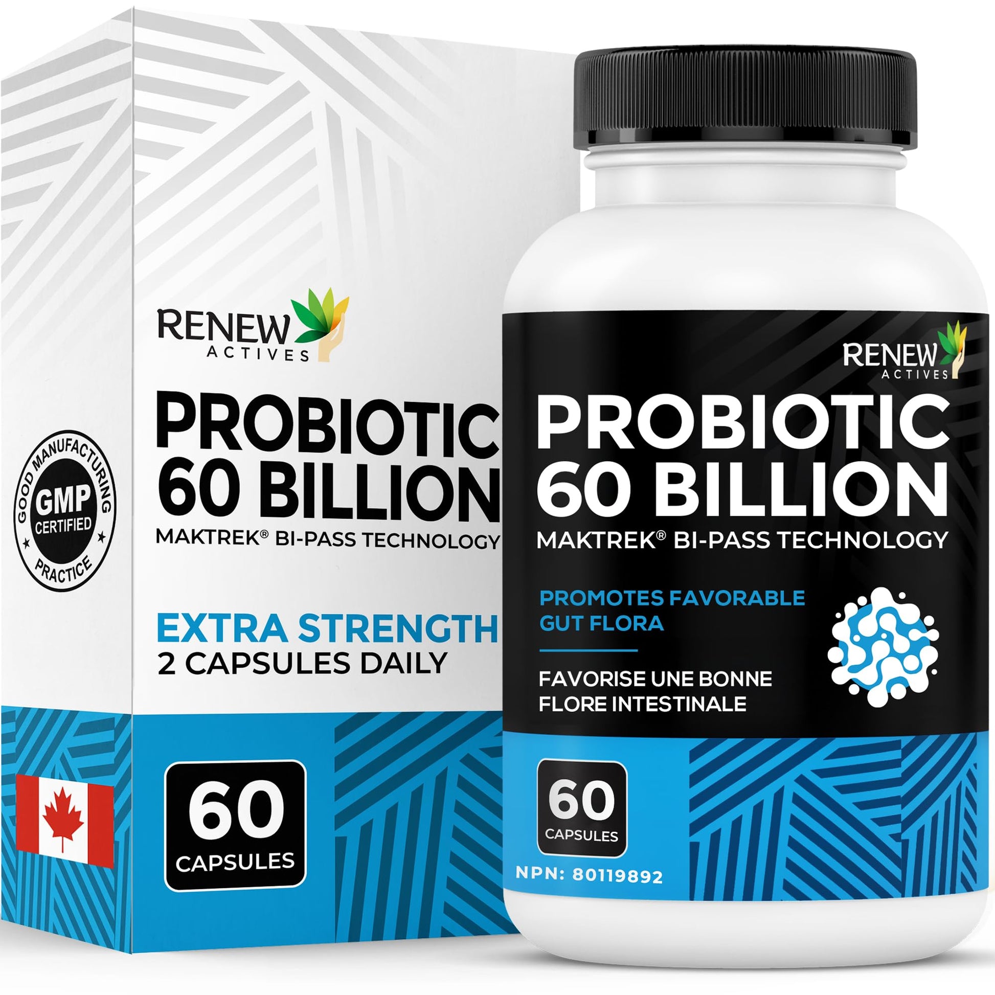 Renew Actives Probiotic Supplement for Digestive Health 60 Billion CFU per 2 Capsules - Advanced Formula with Prebiotic Benefits - Supports Gut Flora Balance & Wellness - Made in Canada - 60 Capsules Renew ActivesAu supplements