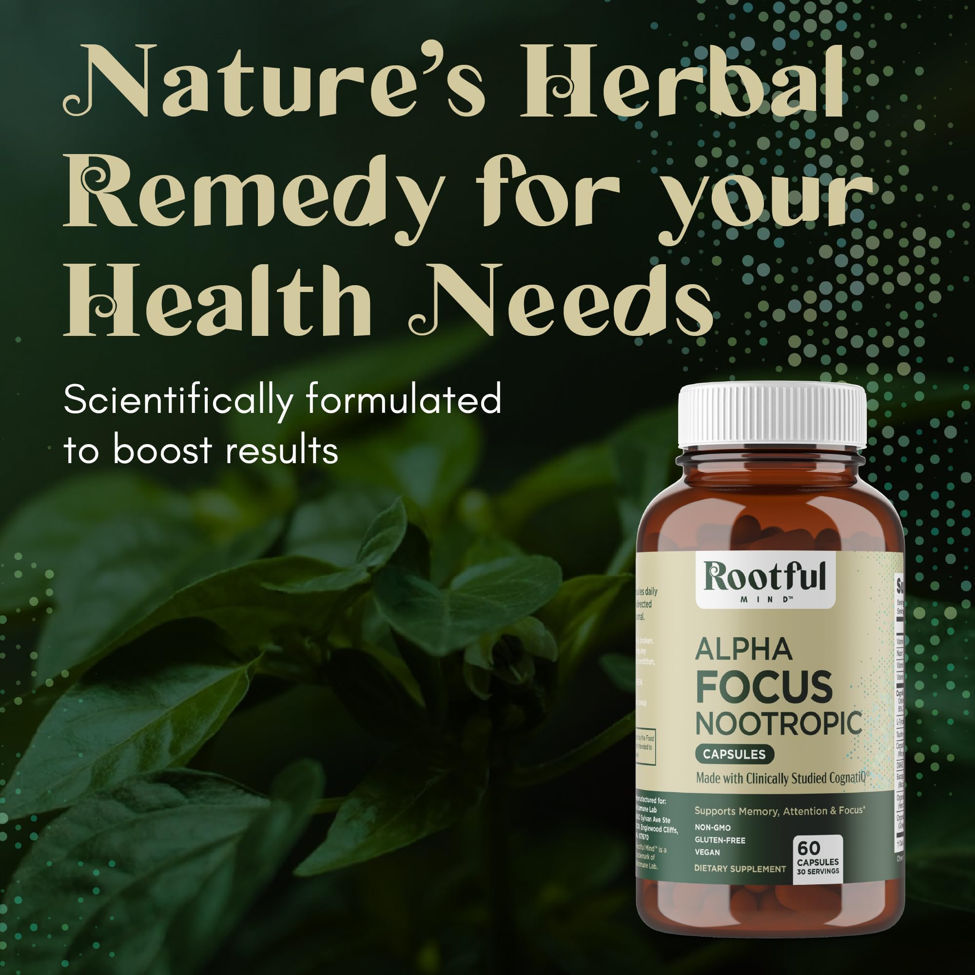 Rootful Mind Alpha Focus Nootropic - Memory and Focus Brain Booster Supplement with Choline, Citicoline, GPC, L-Tyrosine, Bacopa Monnieri, DMAE, Gingko Biloba, Lion's Mane, Niacinamide - 60 Capsules Rootful MindAu supplements