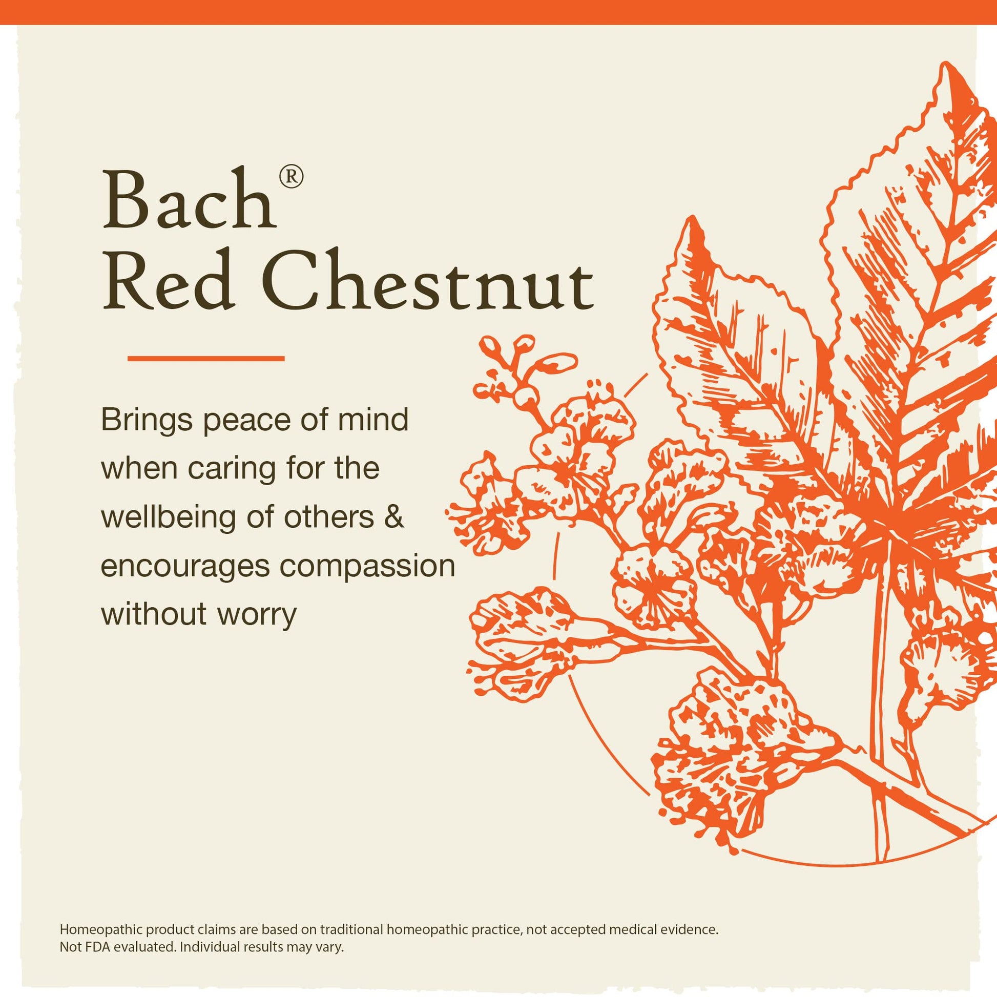 Bach Original Flower Remedies, Red Chestnut for Peace of Mind (Non-Alcohol Formula) BachAu supplements