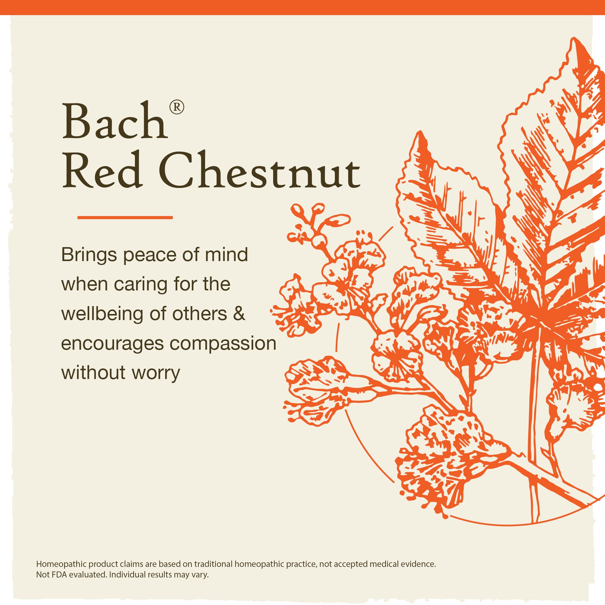 Bach Original Flower Remedies, Red Chestnut for Peace of Mind (Non-Alcohol Formula) BachAu supplements
