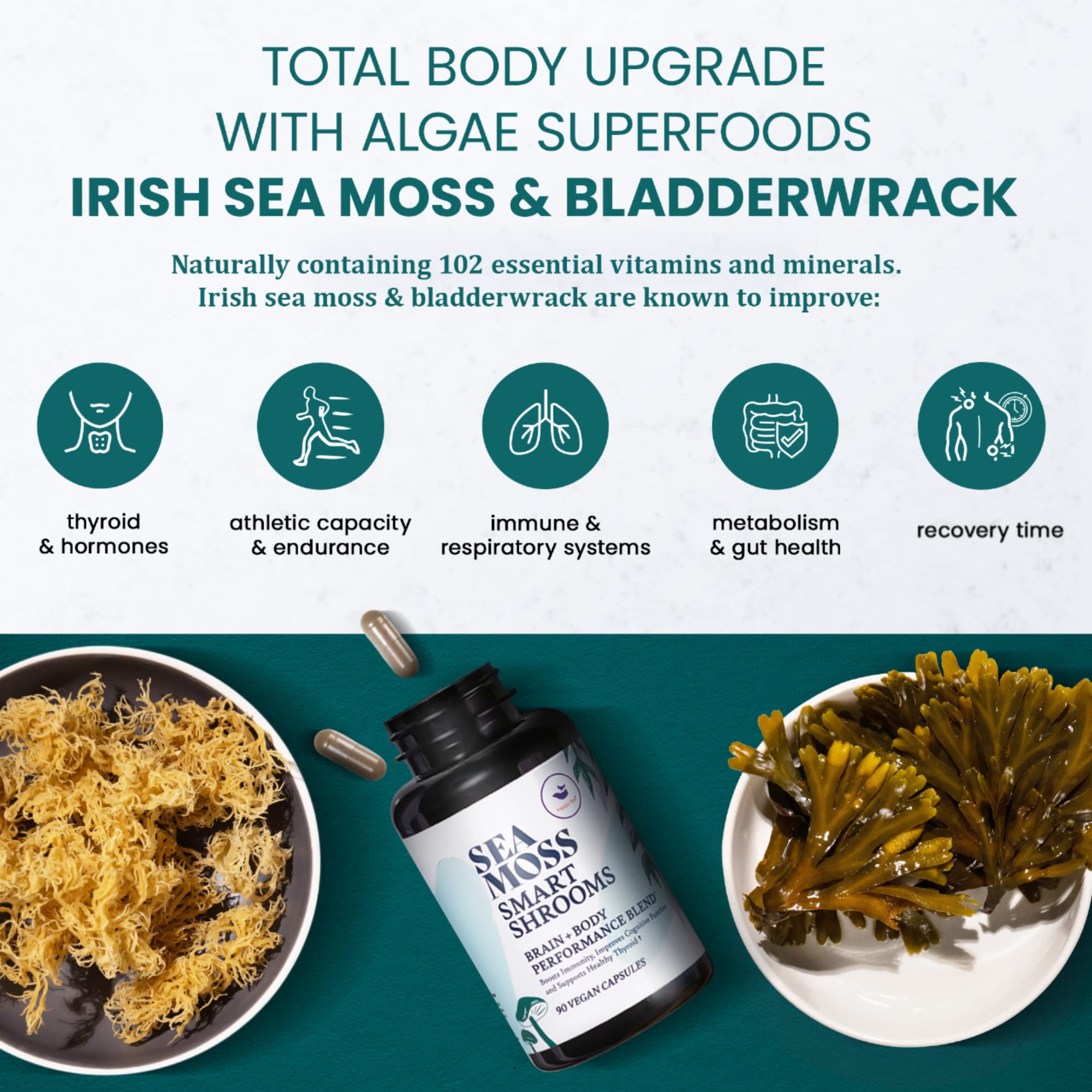 HAPPY FOX Irish Sea Moss Capsules & Mushroom Complex - Organic Seamoss with Adaptogens for Brain Health, 1500mg, 90 Vegan Capsules, Organic Mushroom Supplement HAPPY FOXAu supplements