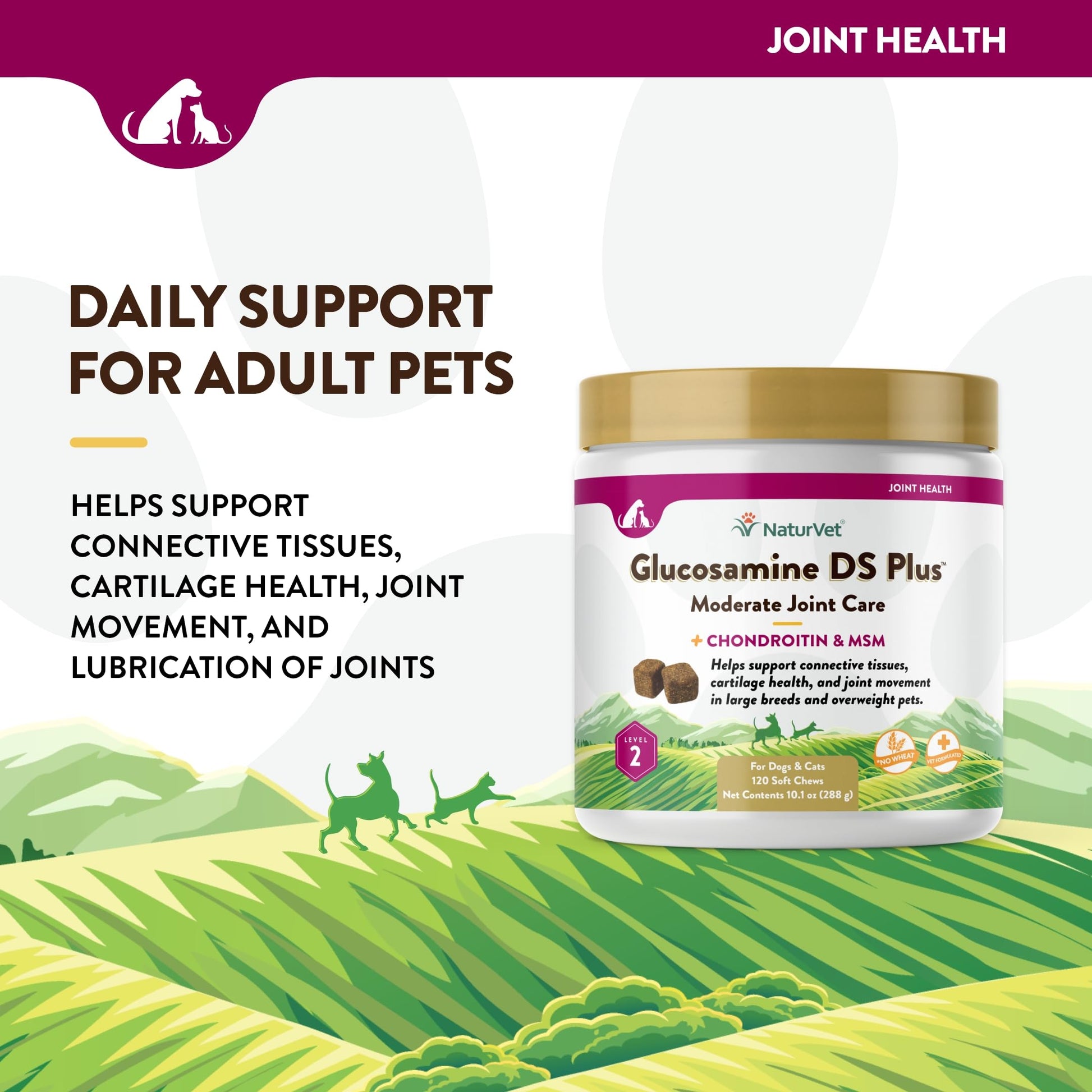 NaturVet – Glucosamine DS Plus - Level 2 Moderate Care – Supports Healthy Hip & Joint Function – Enhanced with Glucosamine, MSM & Chondroitin – for Dogs & Cats–120 Soft Chews NaturVetAu supplements