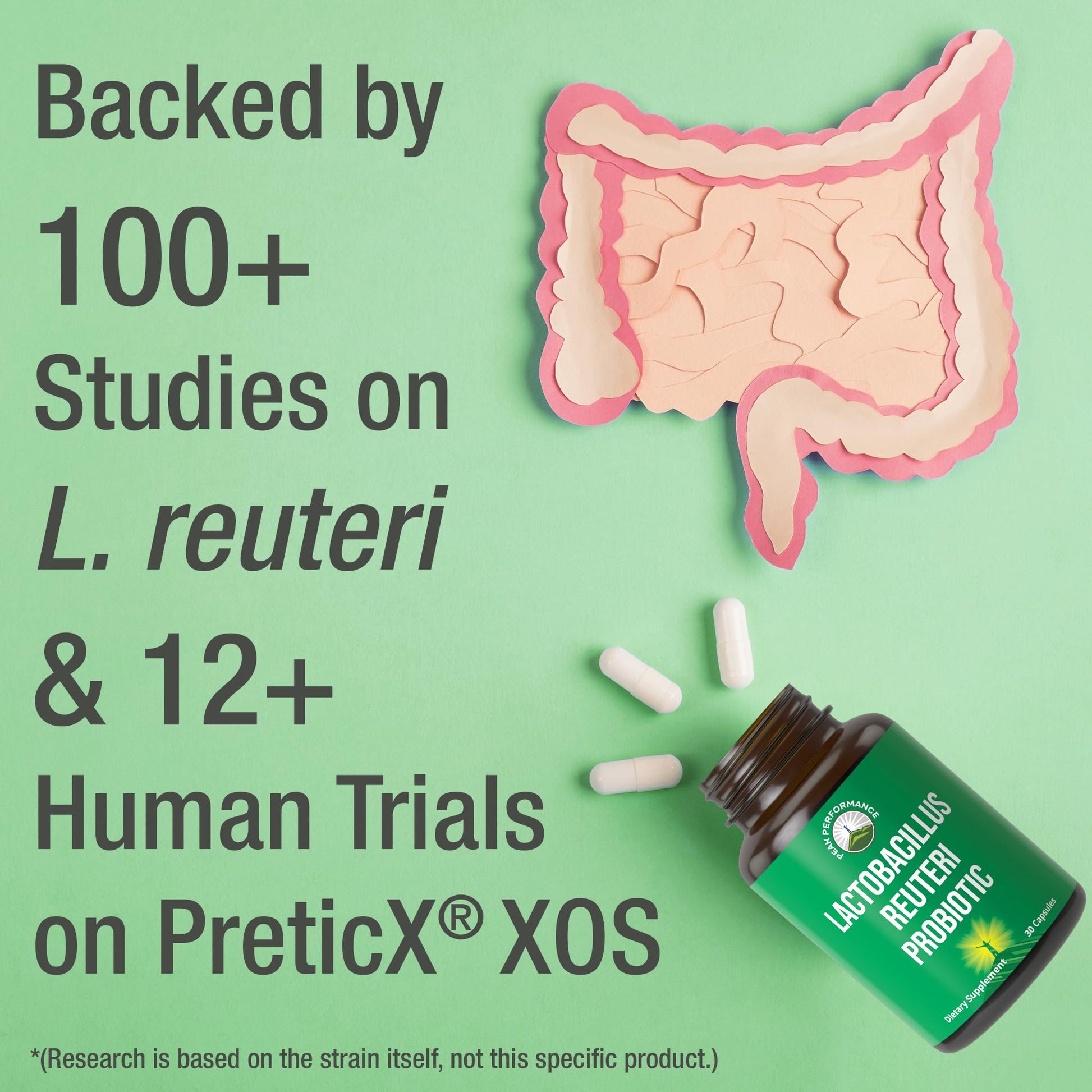 Lactobacillus Reuteri 50 Billion CFU Probiotics with Clinically Studied PreticX® XOS Prebiotic. L Reuteri Probiotic Capsules Supplement for Gut Health and Digestive Support. for Both Women & Men Peak PerformanceAu supplements