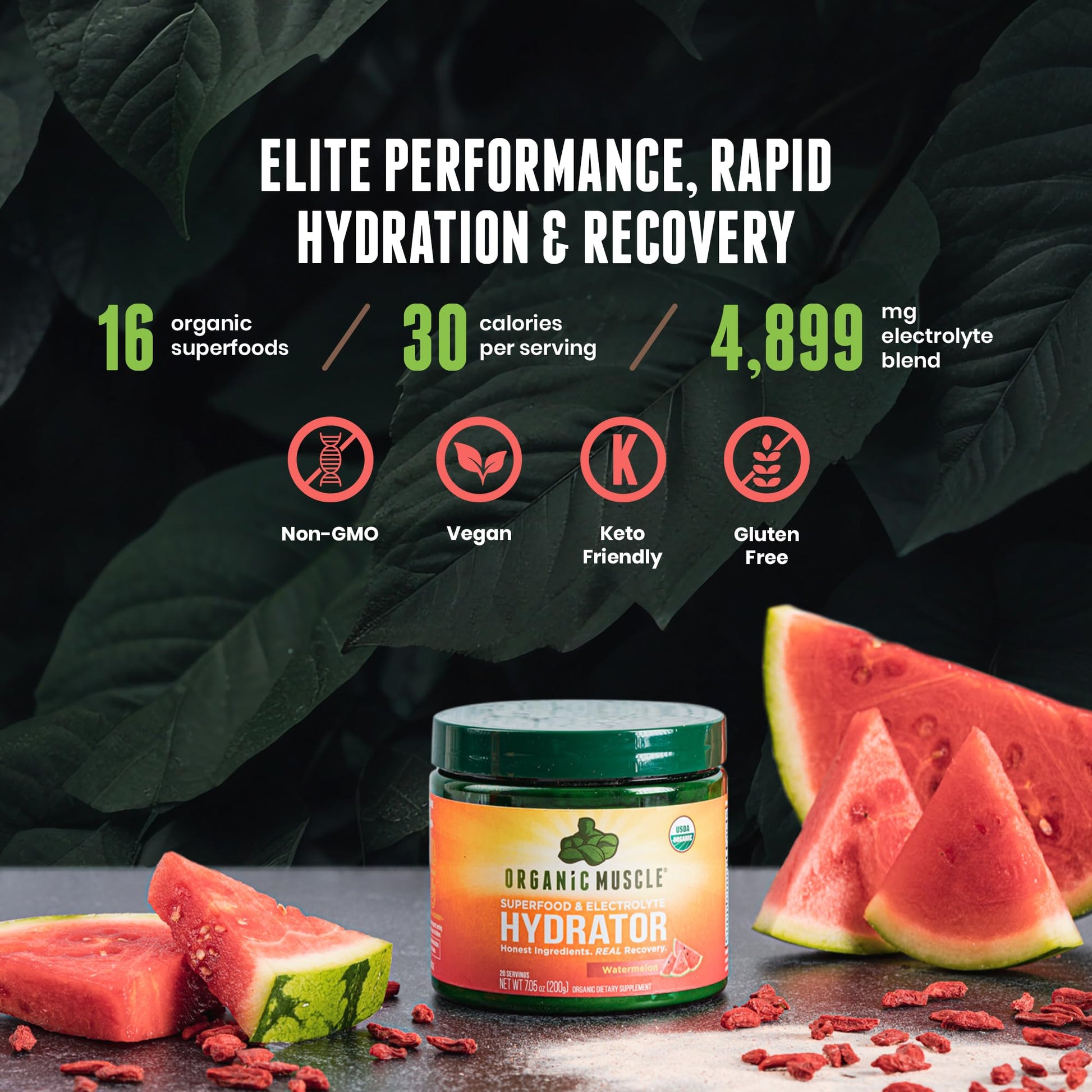 Organic Muscle Hydrator | Natural Electrolyte Powder for Peak Performance & Recovery - Watermelon Flavor, 20 Servings Organic MuscleAu supplements
