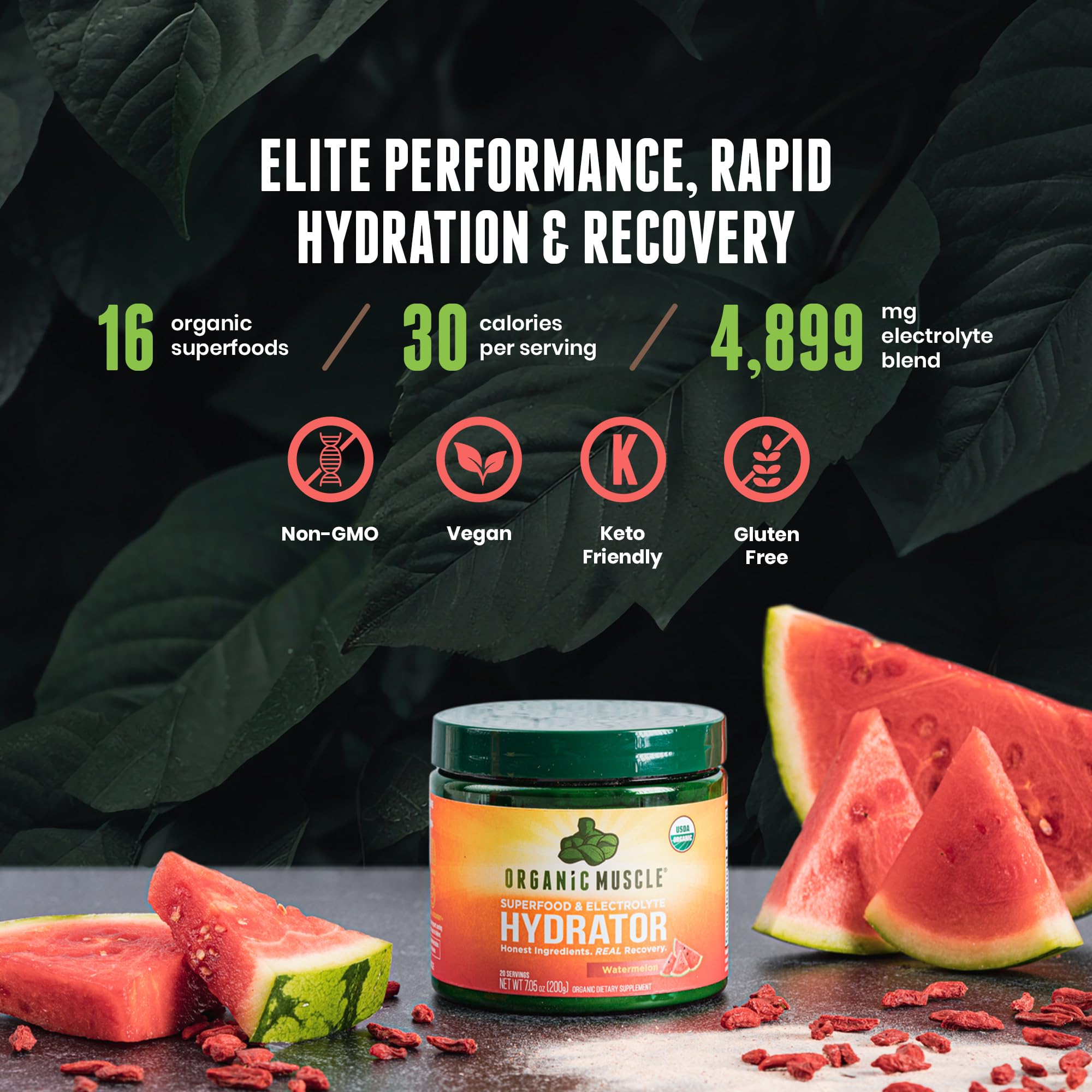 Organic Muscle Hydrator | Natural Electrolyte Powder for Peak Performance & Recovery - Watermelon Flavor, 20 Servings Organic MuscleAu supplements