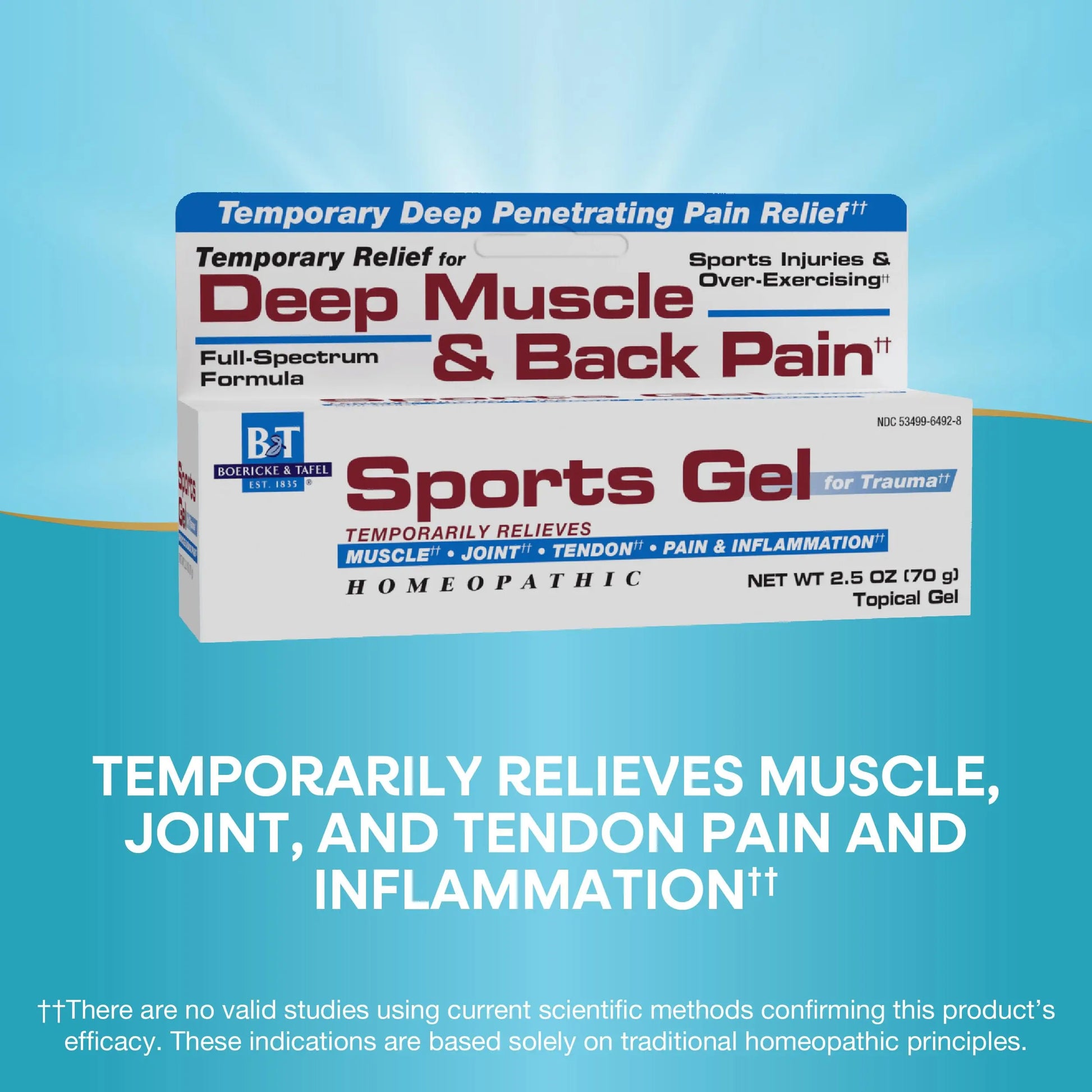 Nature's Way Boericke & Tafel Sports Gel, Relief for Deep Muscle, Joint, Tendon, & Back Pain and Inflammation, Homeopathic, 2.5 oz Nature's WayAu supplements