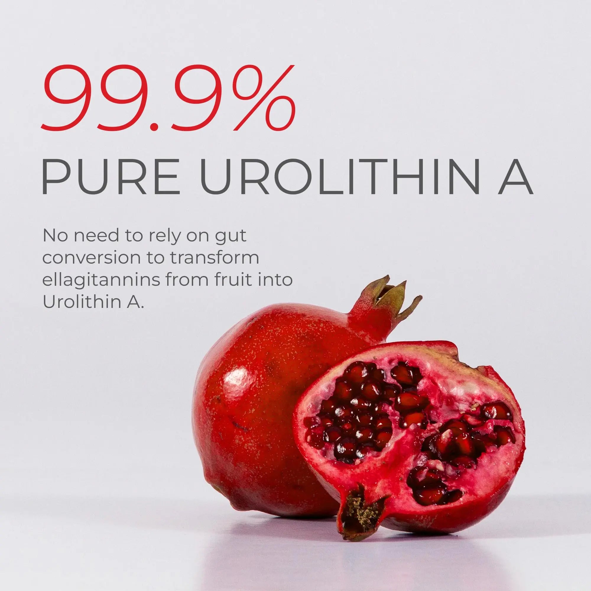 Neurogan Urolithin A PRO Capsules - 1000mg, 120 Ct - Advanced Cellular Health, Post Biotic Supplements - Ultra Micronized Urolithin A Supplement, Sourced from Pomegranate Extract Neurogannz supplements