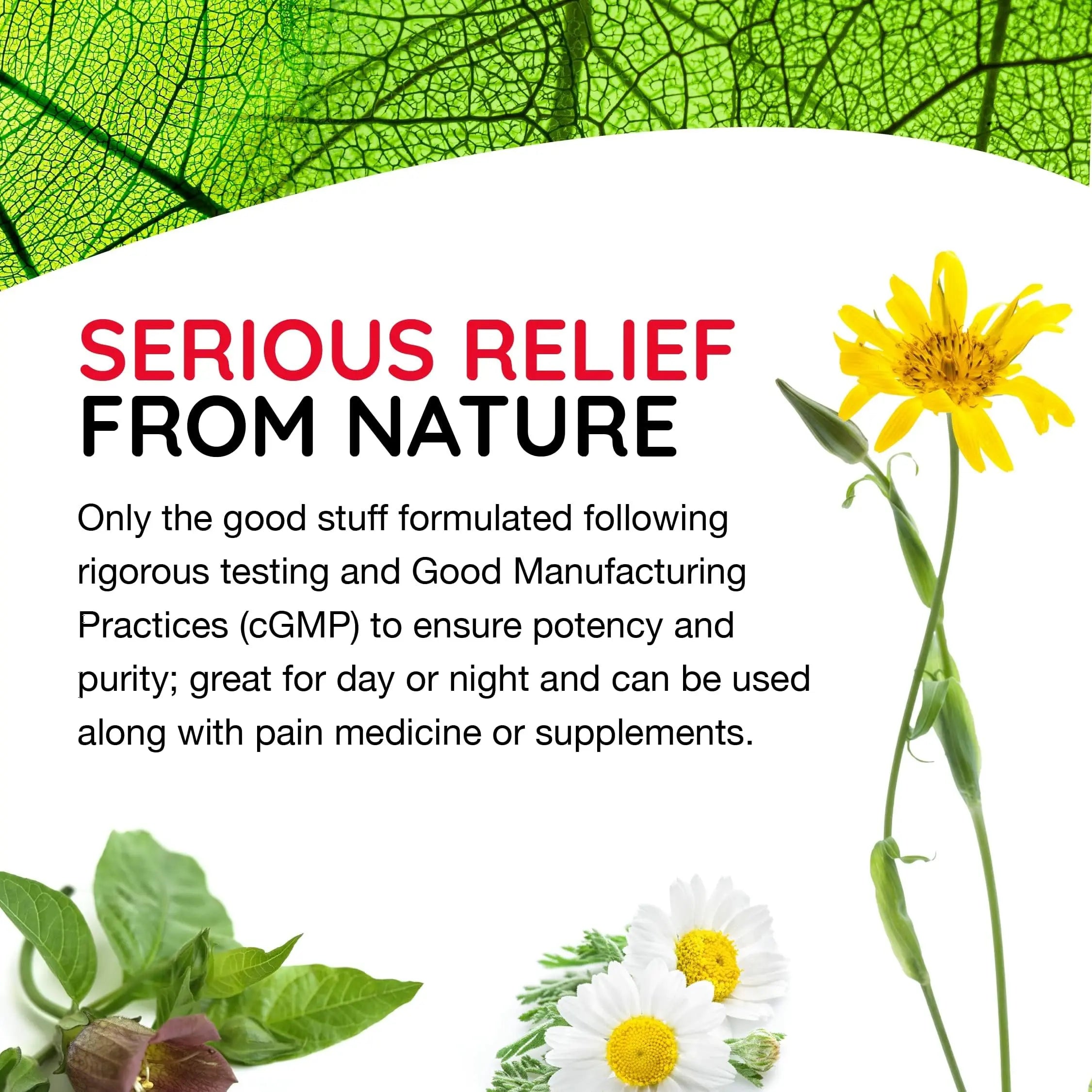 MediNatura T-Relief Pain - Arnica Medication for Naturally Soothing Body Aches - Supports Muscle, Joint & Back Relief - Chewable Tablets - Plant-Based Tablets - Non-Addictive - 100 Count - 2 Pack MediNaturaAu supplements