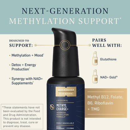 Quicksilver Scientific Methyl Charge - Methylation, Liver, Detox + Energy Supplement - Folate, Vitamin B12, Riboflavin, Vitamin B6 + TMG Supplement with Superior Absorption - Vegan B Vitamins (50ml) Quicksilver ScientificUS supplements