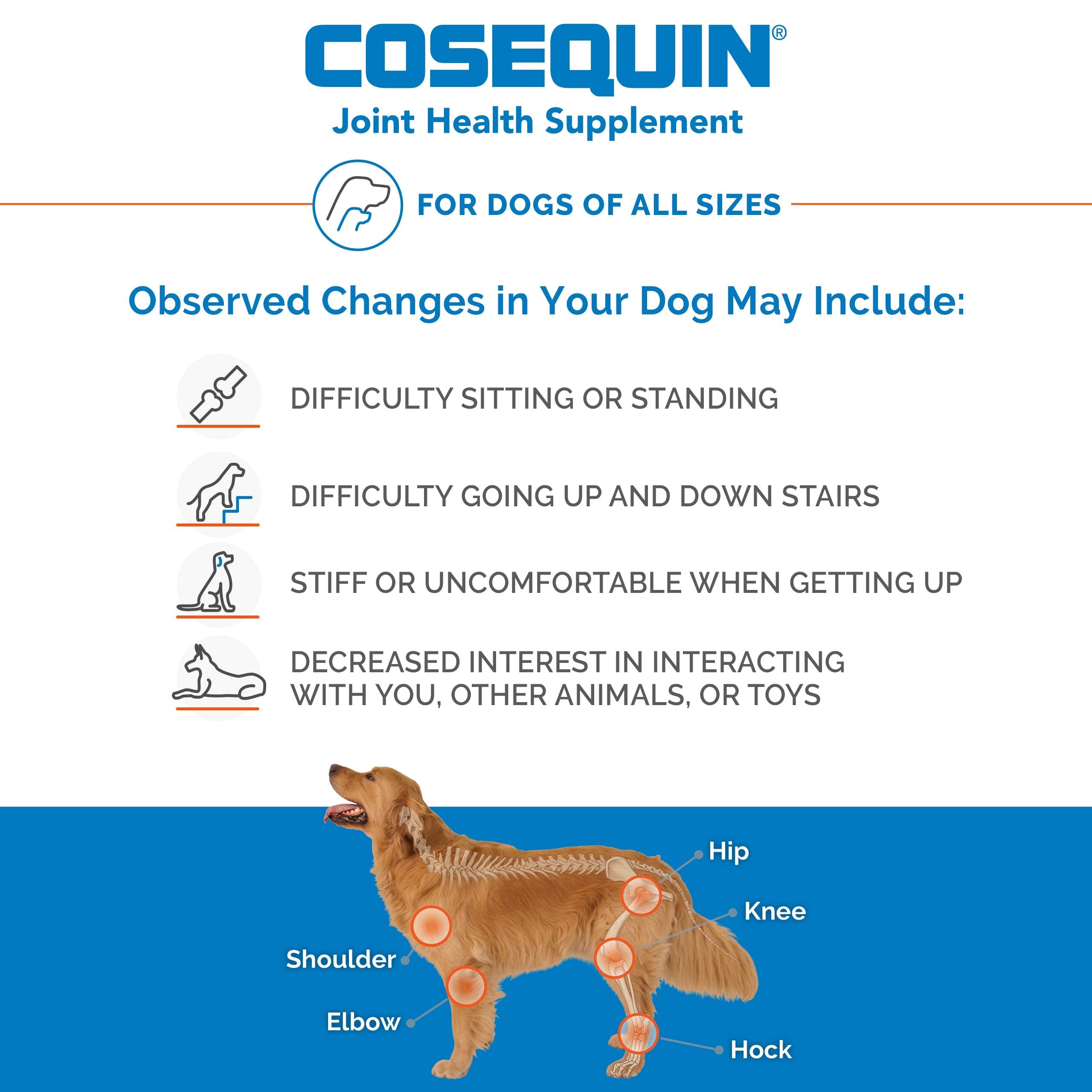 Nutramax Laboratories Cosequin Maximum Strength Joint Health Supplement for Dogs Nutramax LaboratoriesUS supplements