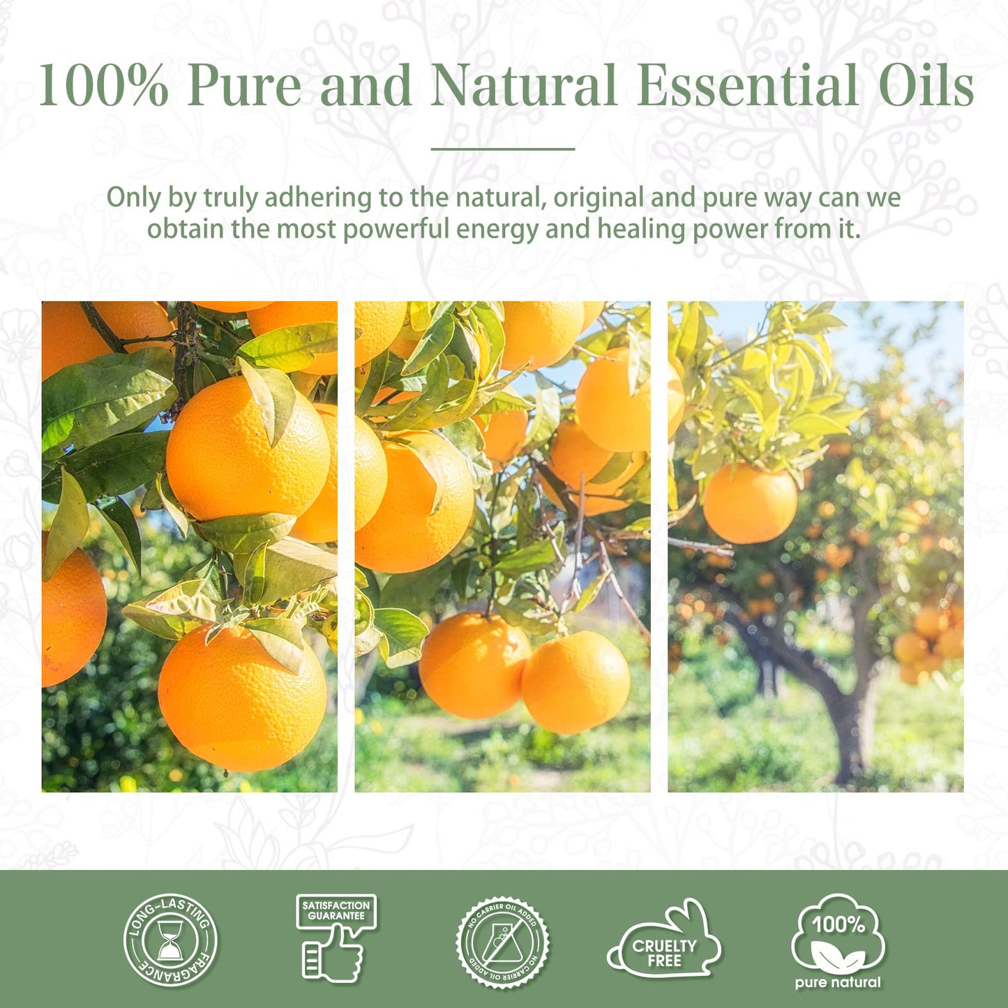 PHATOIL Sweet Orange Essential Oil 100ML, Pure Premium Grade Sweet Orange Essential PHATOILUS supplements