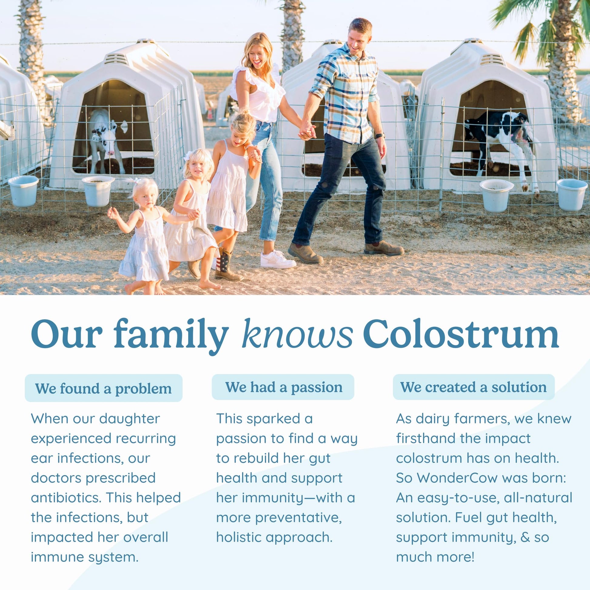 WONDERCOW Colostrum Supplement Powder for Gut Health, Immune Support & Wellness | Natural IgG Pure Whole Bovine Colostrum Superfood, Elderberry, 30 Servings WONDERCOWAu supplements