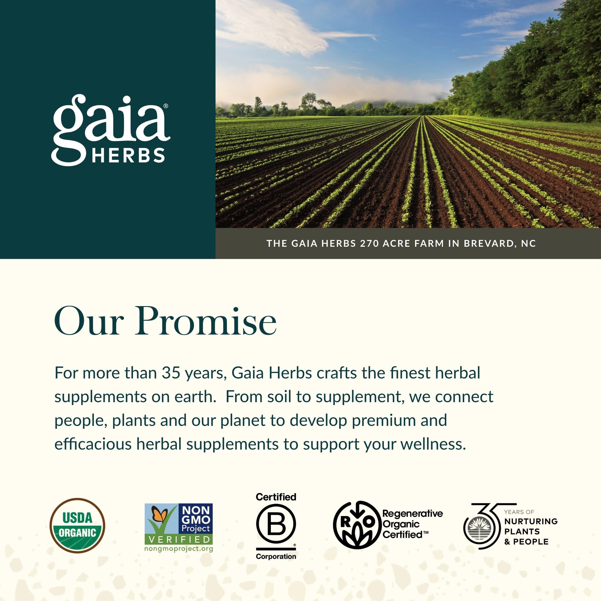 Gaia Herbs Ginger-Beet Postbiotic - Supplement for Gut & Heart Health Support* - Made with Fermented Beets & Ginger - Free from Dairy, Soy & Gluten - 60 Vegan Liquid Phyto-Caps (30 Servings) Gaia HerbsAu supplements