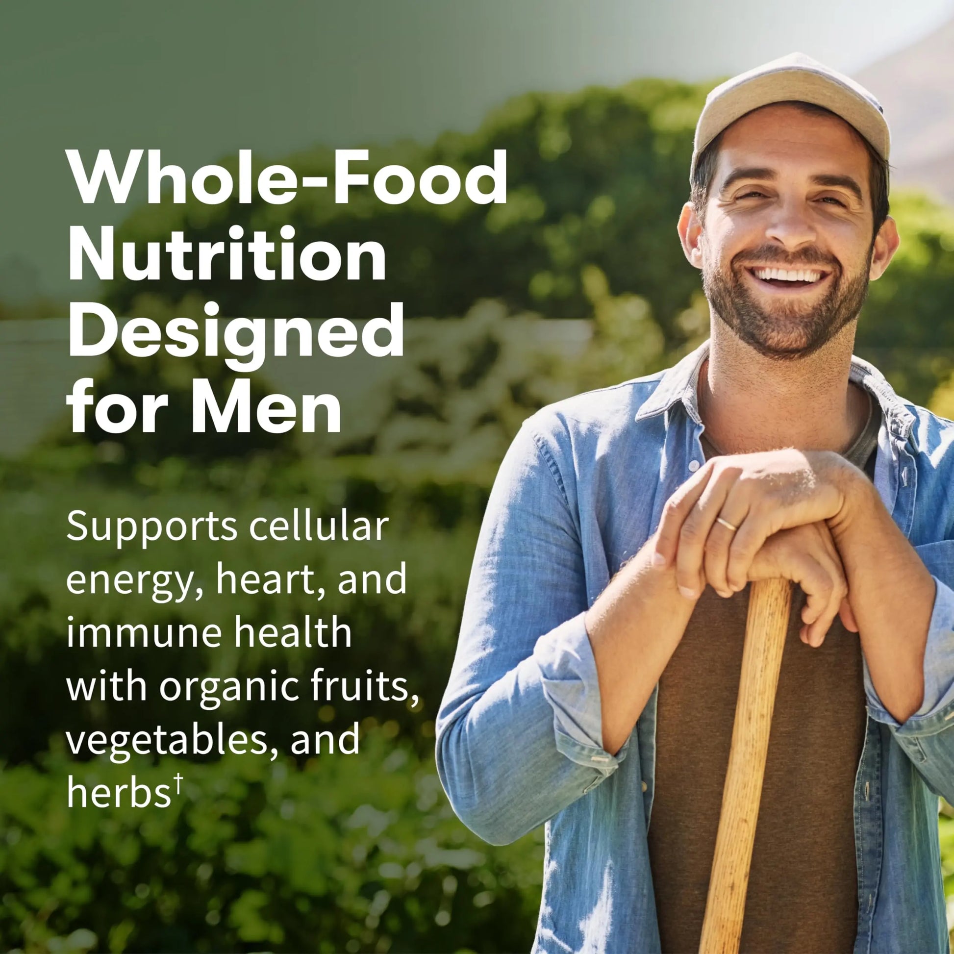 Garden of Life Once Daily Whole Food Multivitamin for Men, Organic Mens Vitamins & Minerals, Vitamin C, Zinc, Vegan, for Health & Well-Being, 60 Tablets Garden of LifeAu supplements