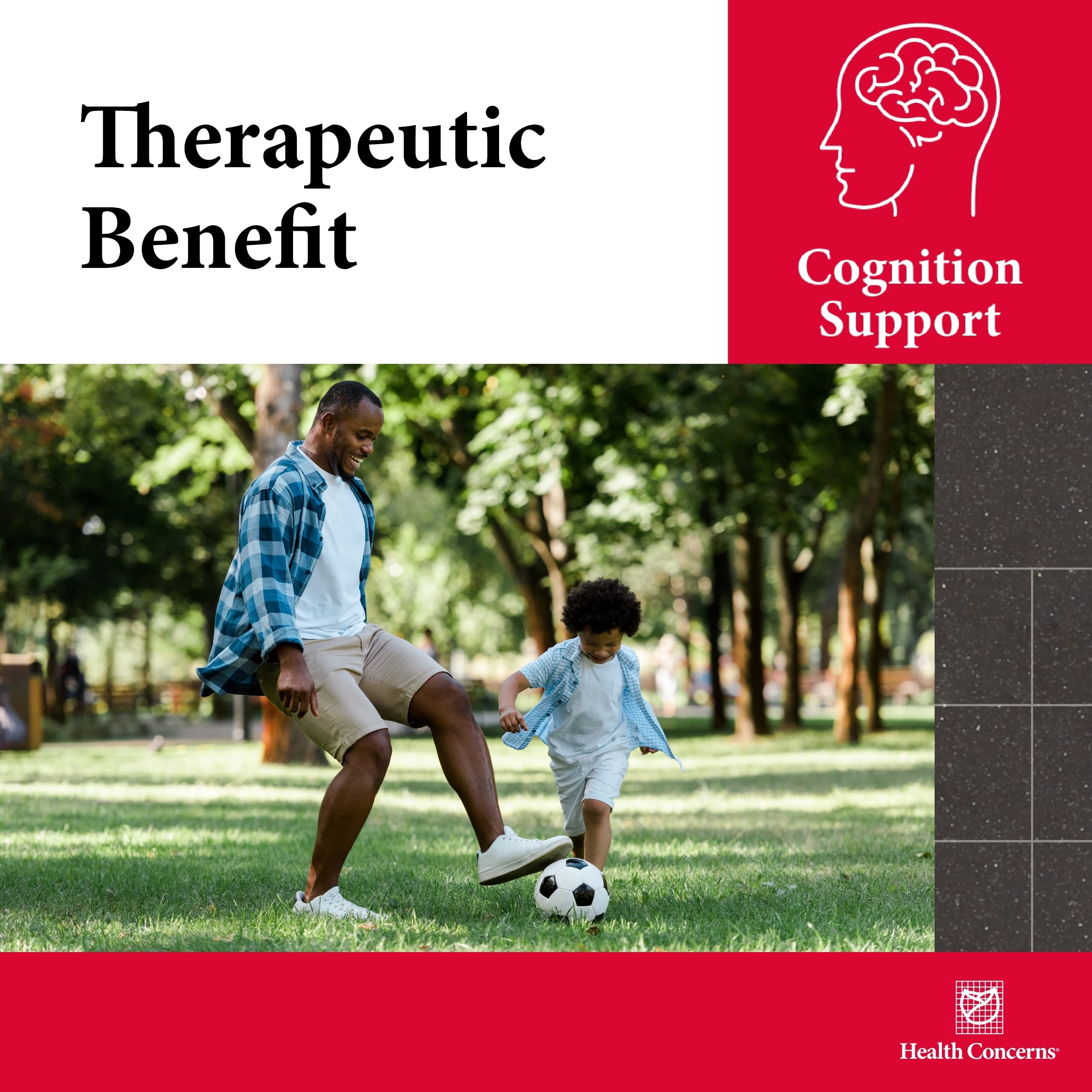 Health Concerns Cogni-Spark – Brain Support for Memory, Focus, and Mental Clarity – Alpha-GPC Choline Supplement for Cognition, Nerve Function & Longevity – Cognitive Health Formula – 30 Capsules Health ConcernsAu supplements