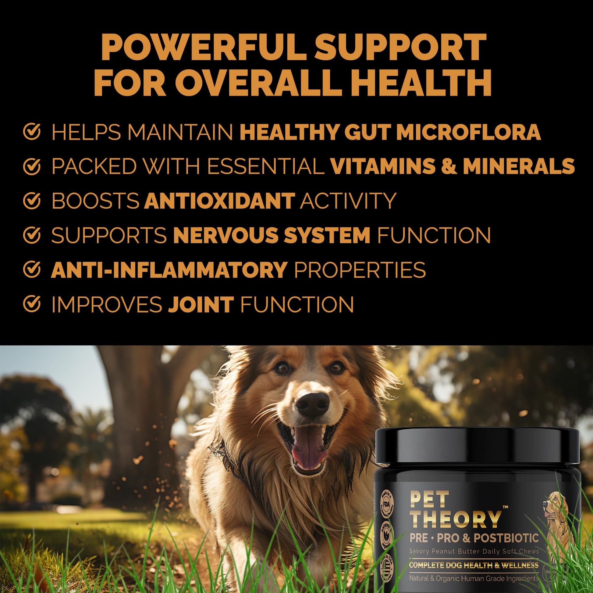 Pet Theory Probiotics for Dogs. Dog Digestive Health-Pre Pro and Postbiotic Combination-Pet Supplements for Gut Health-Supports Digestion, Boost Immunity-100CT Soft Chews Pet TheoryAu supplements