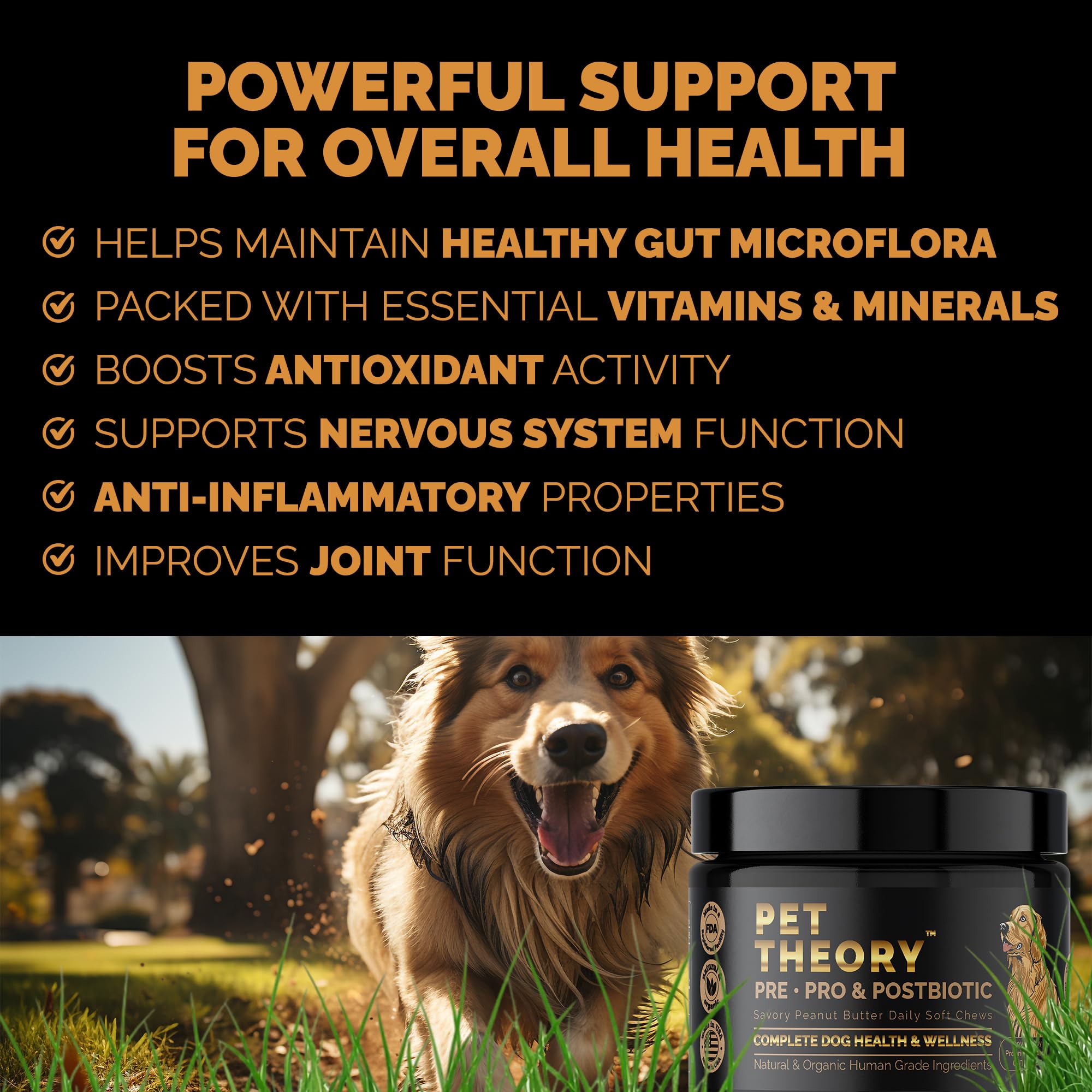 Pet Theory Probiotics for Dogs. Dog Digestive Health-Pre Pro and Postbiotic Combination-Pet Supplements for Gut Health-Supports Digestion, Boost Immunity-100CT Soft Chews Pet TheoryAu supplements