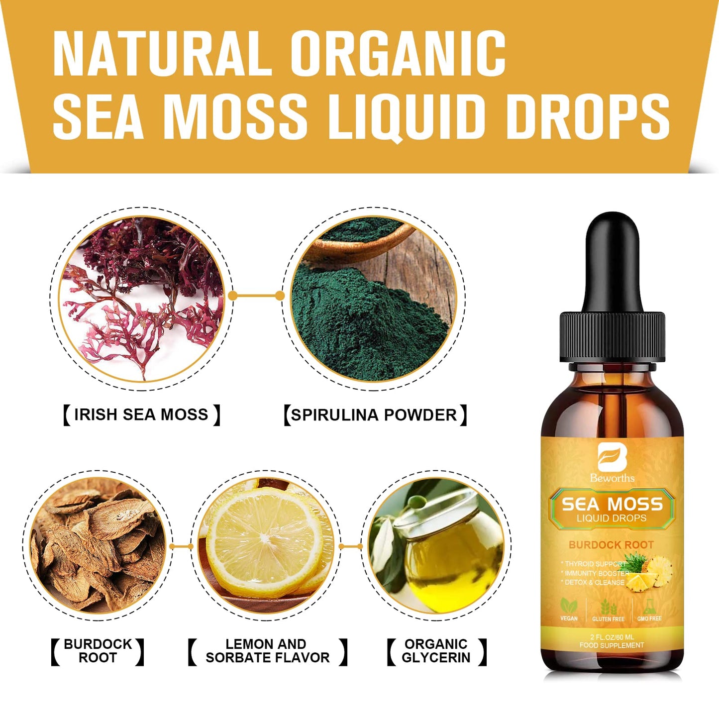 B BEWORTHS Sea Moss Liquid Drops - Organic Irish Sea Moss Gel with Burdock Root B BEWORTHSUS supplements