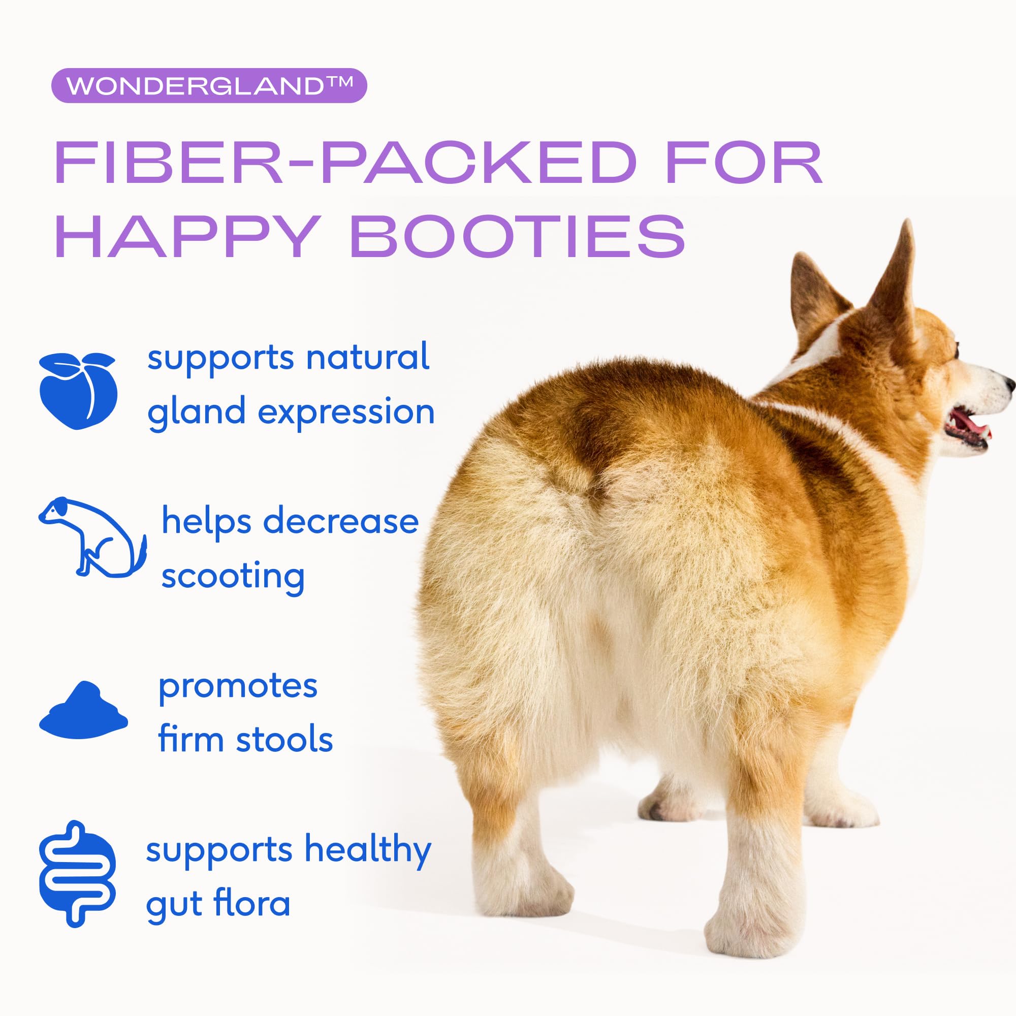 Native Pet WonderGland - Dog Anal Gland Supplement - Promotes Firm Stools, Natural Gland Expression to Help Reduce Scooting - Fiber Food Topper with Miscanthus Grass, Pumpkin & Probiotics - 30 Scoops Native PetAu supplements