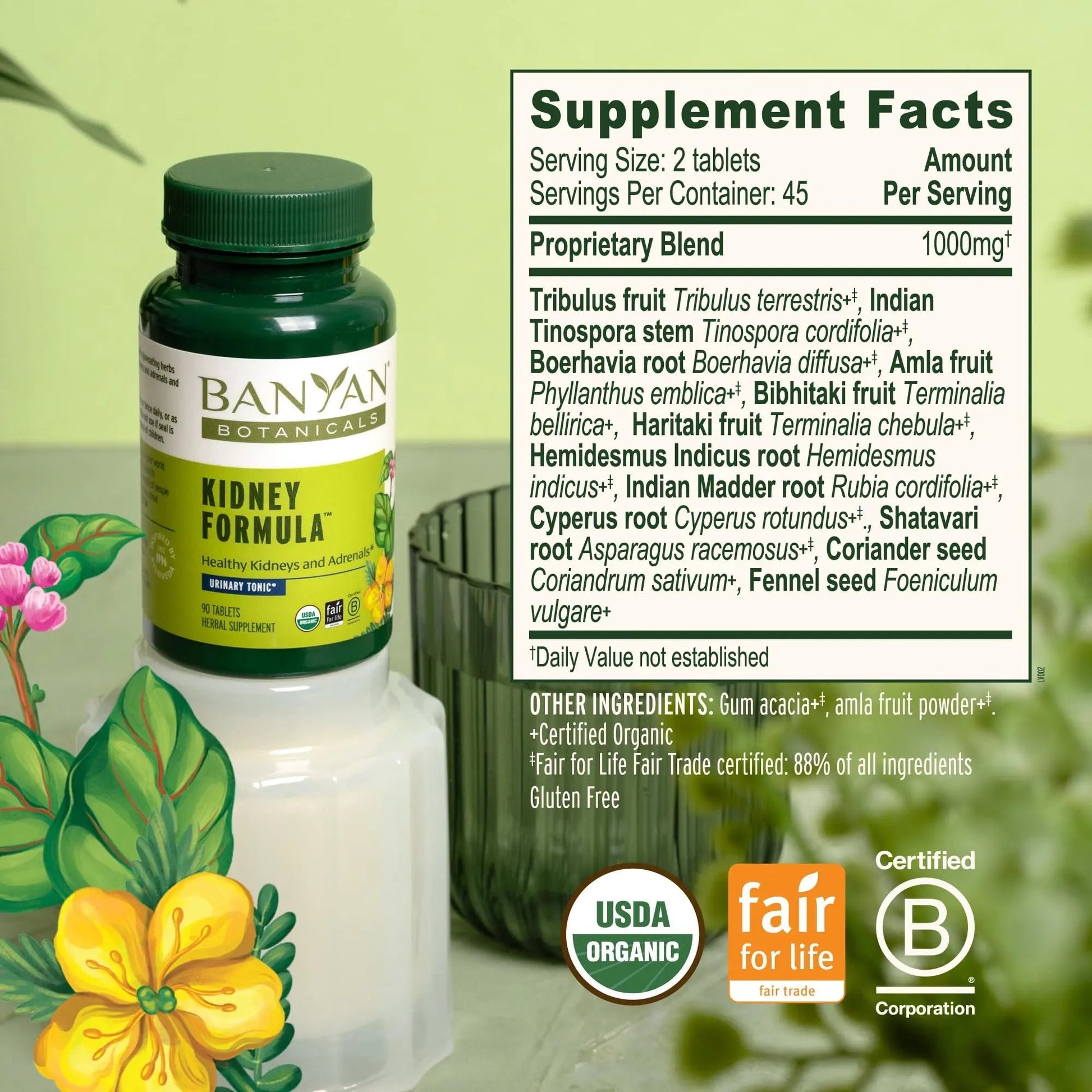 Banyan Botanicals Organic Kidney Formula–Urinary Tract Support & Detox Supplement–Gokshura & Punarnava for Fluid Balance & Systemic Cleansing–Cooling Genitourinary Tonic-90 Tablets-USDA Organic Banyan BotanicalsAu supplements