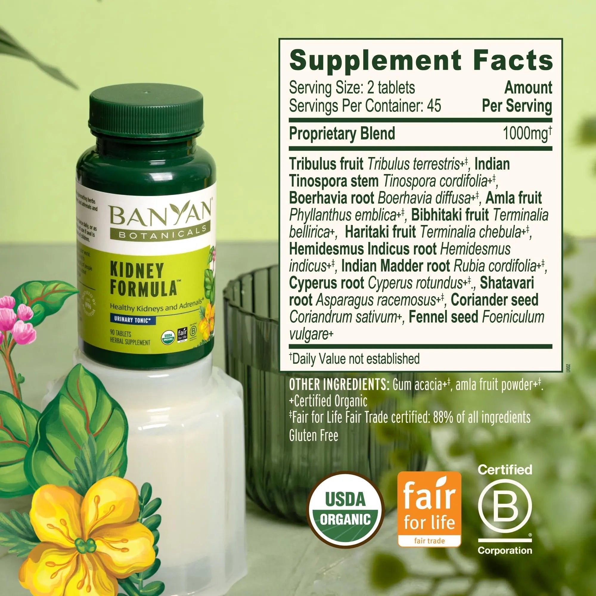 Banyan Botanicals Organic Kidney Formula–Urinary Tract Support & Detox Supplement–Gokshura & Punarnava for Fluid Balance & Systemic Cleansing–Cooling Genitourinary Tonic-90 Tablets-USDA Organic Banyan BotanicalsAu supplements