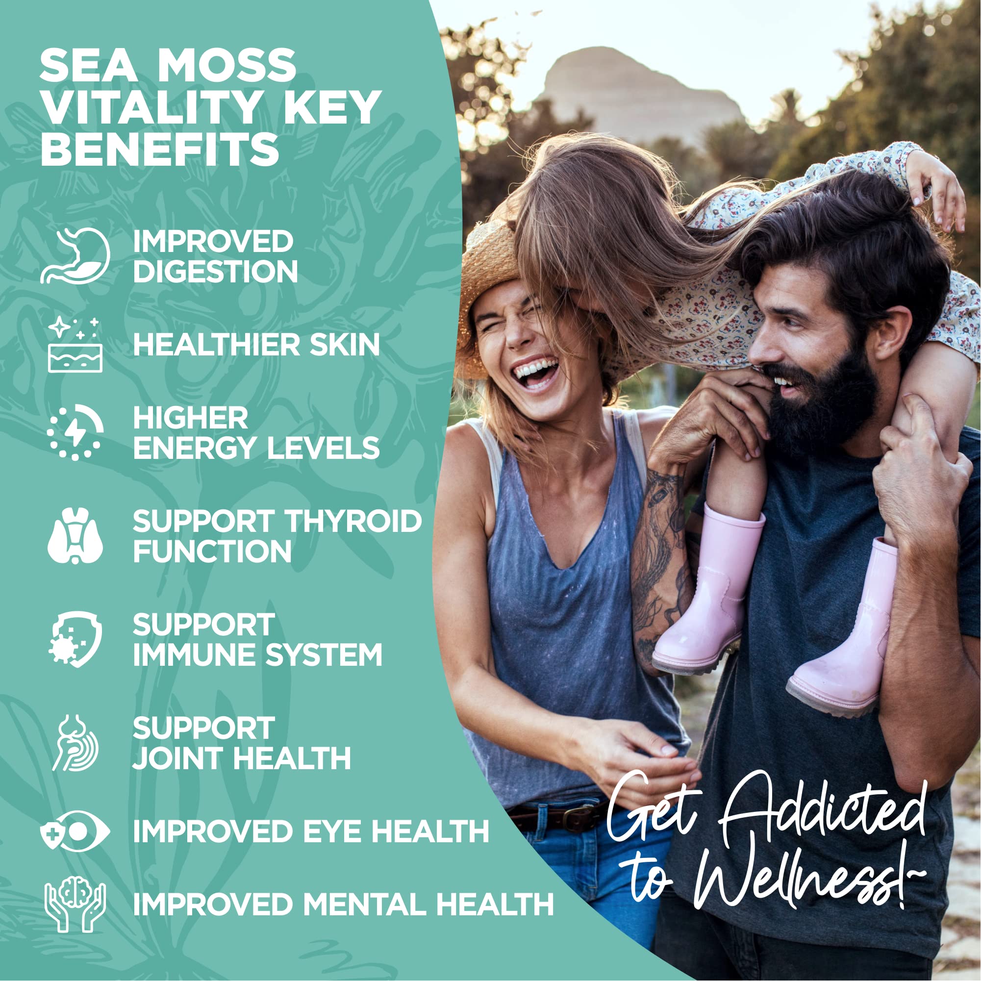 HerbaMe Organic Irish Sea Moss with Bladderwrack, Burdock Root & Black Pepper Extract HerbaMeUS supplements