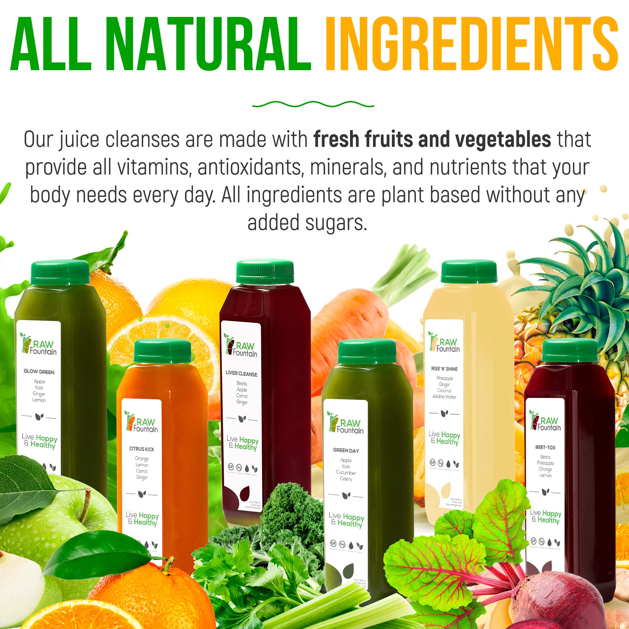 Raw Fountain 1 Day Juice Cleanse, All Natural Detox Cleanse, Cold Presssed Fruit Raw FountainUS supplements