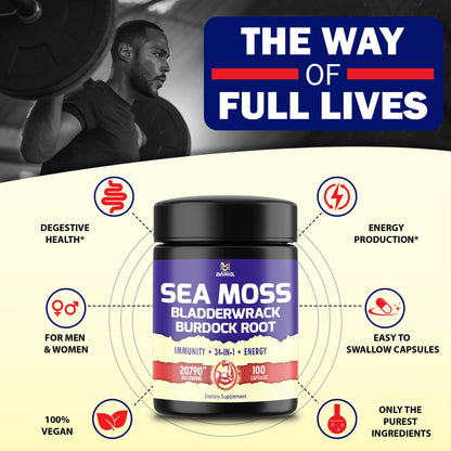 BMVINVOL 100 Capsules - Sea Moss Capsules 20790mg with Bladderwrack, Burdock BMVINVOLUS supplements