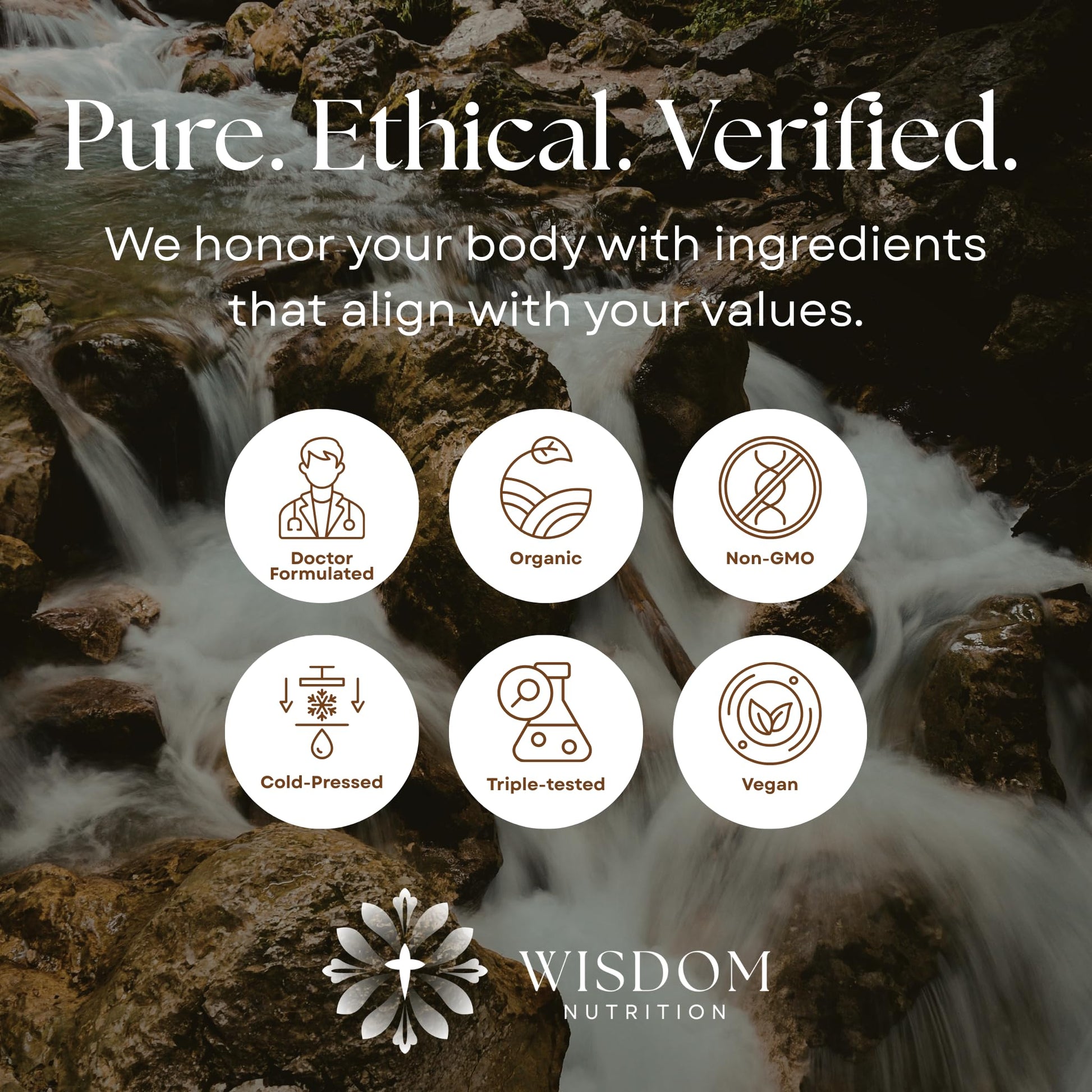 Organic Turmeric, Frankincense and Myrrh – Herbal Supplement Blend for Energy, Detox, Focus, Immunity & Stress – Non-GMO Vegan Tonic with Milk Thistle – Wisdom Bible Based Blend – 2oz Liquid Drops Wisdom NutritionAu supplements